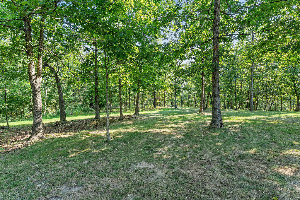 Photo 44 - Residential for sale – 7221 E State Highway 90   Pineville, MO