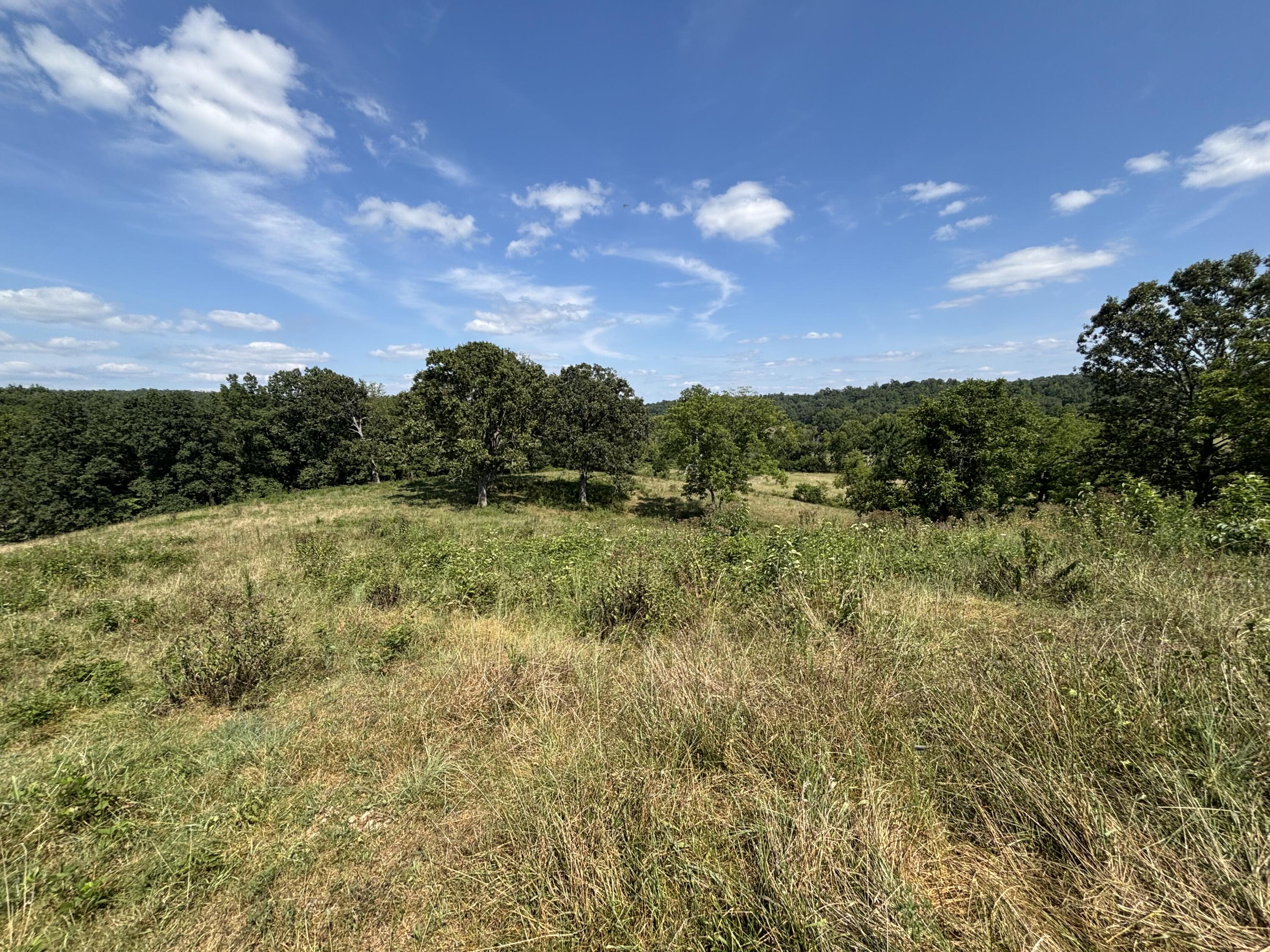Photo 31 - Farm for sale – 000  County Road 534   Ellington, MO