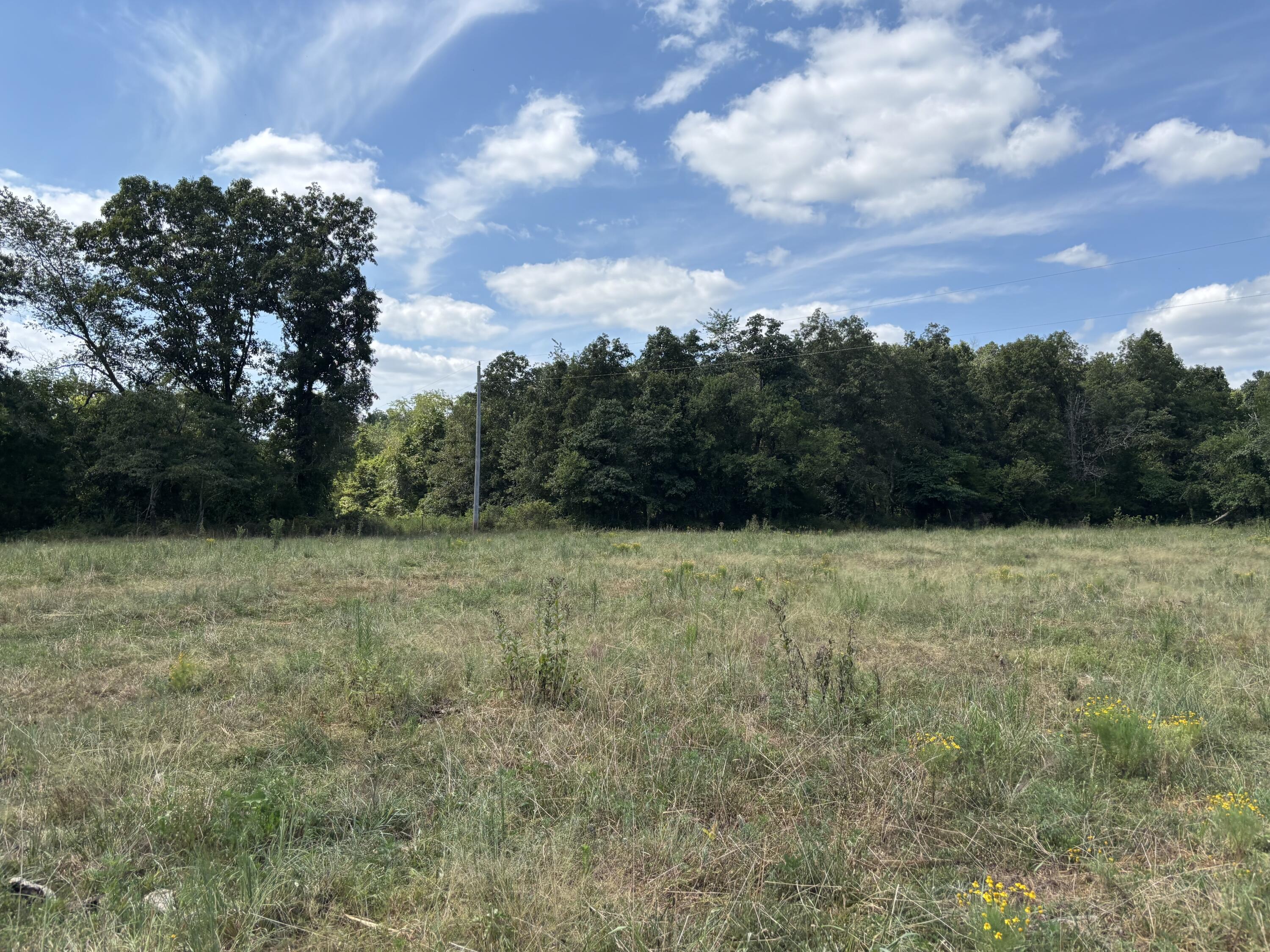 Photo 27 - Farm for sale – 000  County Road 534   Ellington, MO