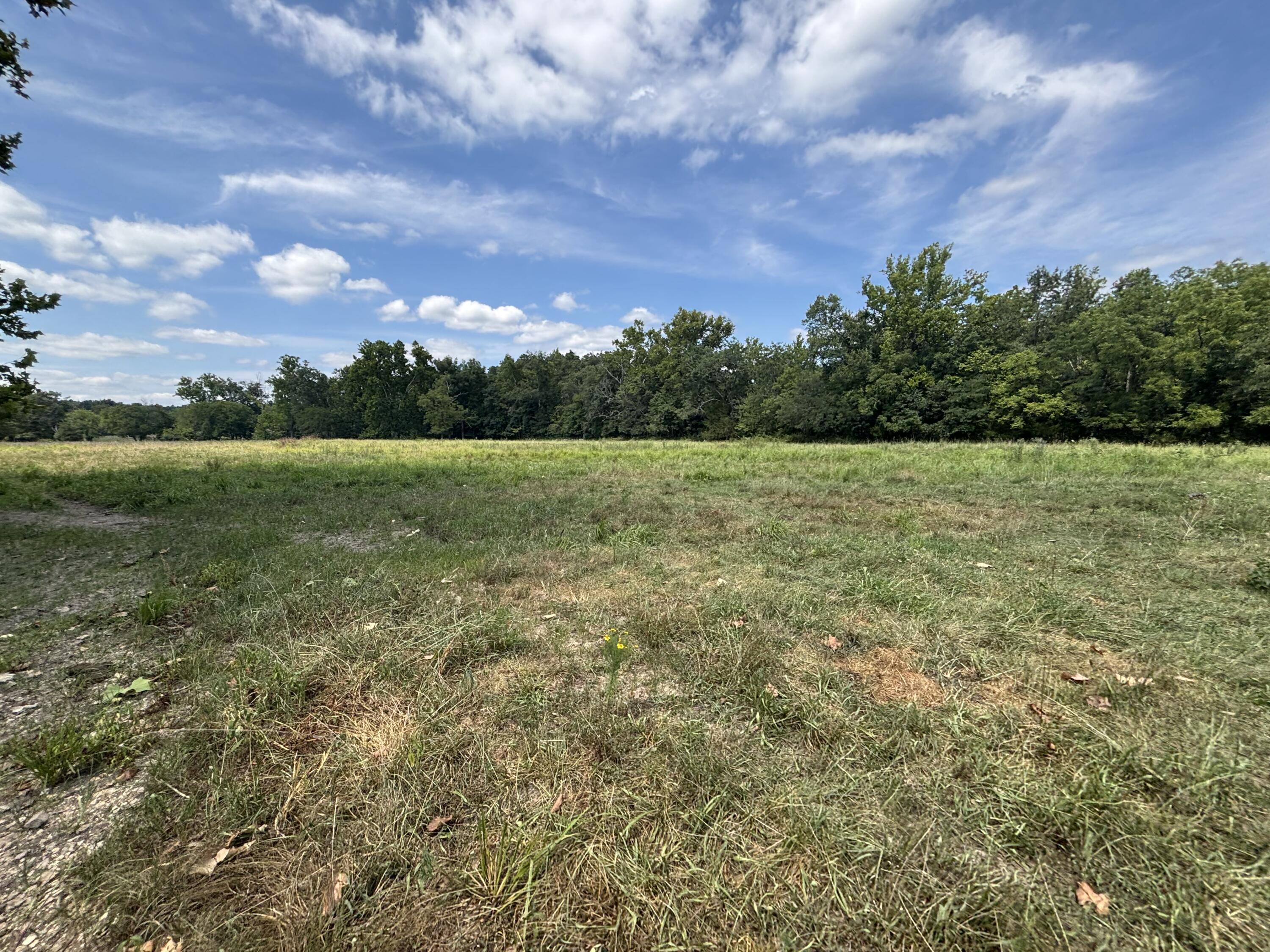 Photo 5 - Farm for sale – 000  County Road 534   Ellington, MO