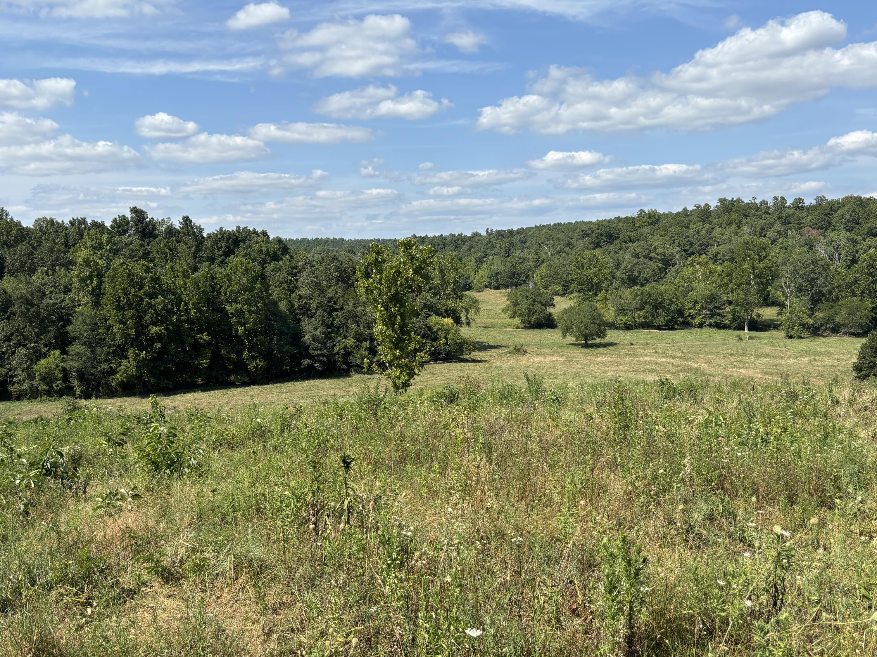 Photo 14 - Farm for sale – 000  County Road 534   Ellington, MO