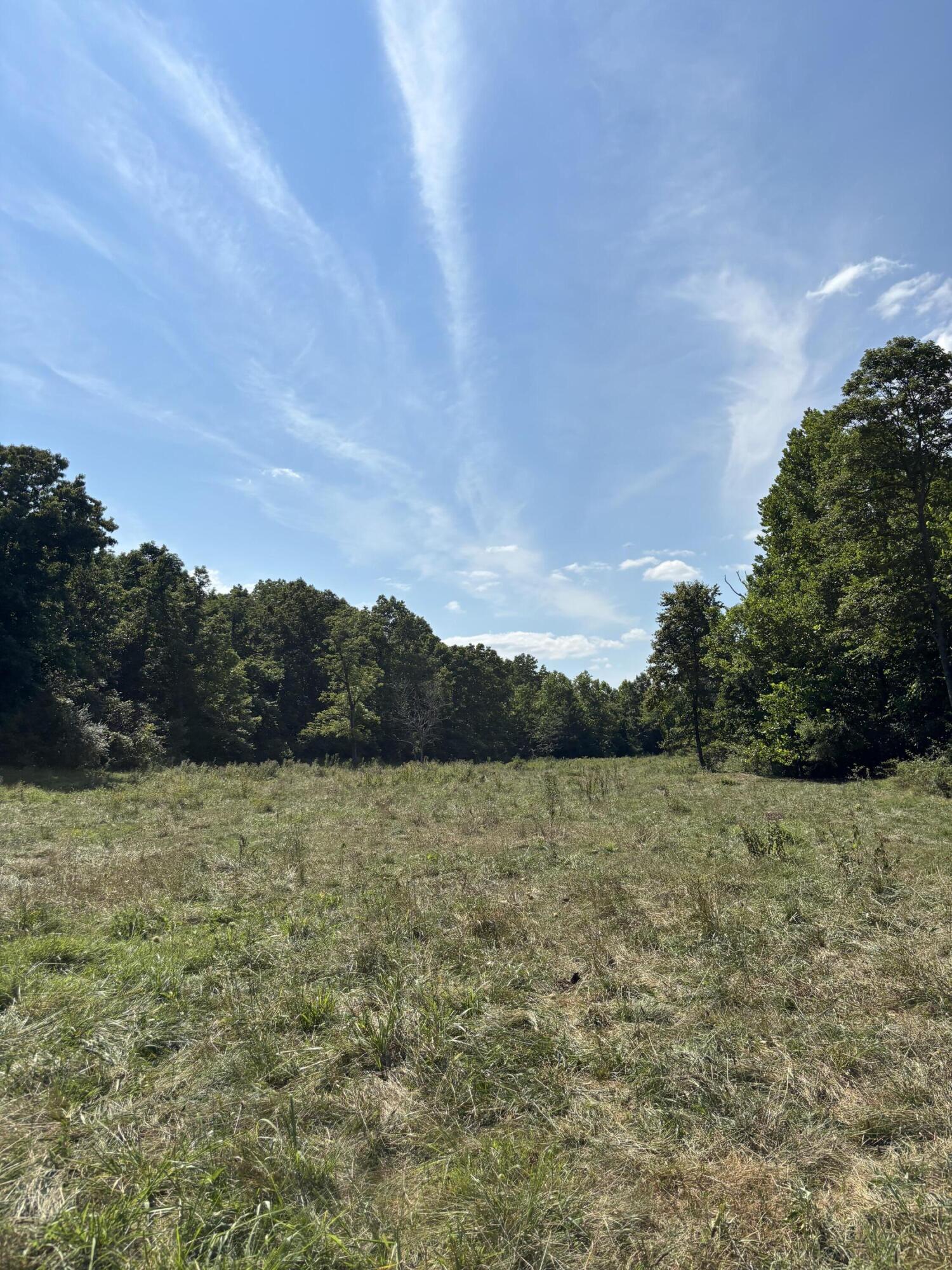 Photo 29 - Farm for sale – 000  County Road 534   Ellington, MO