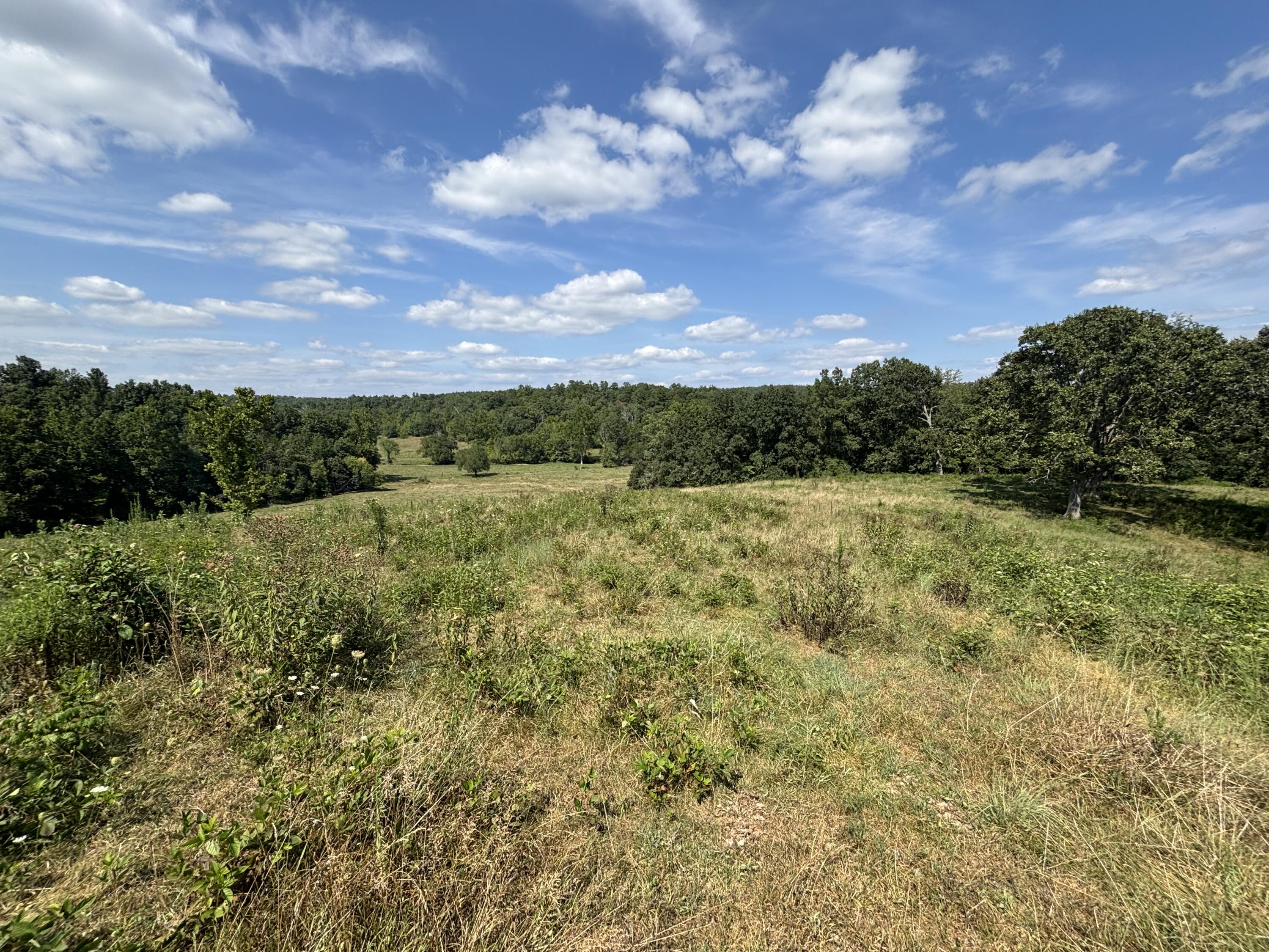 Photo 16 - Farm for sale – 000  County Road 534   Ellington, MO