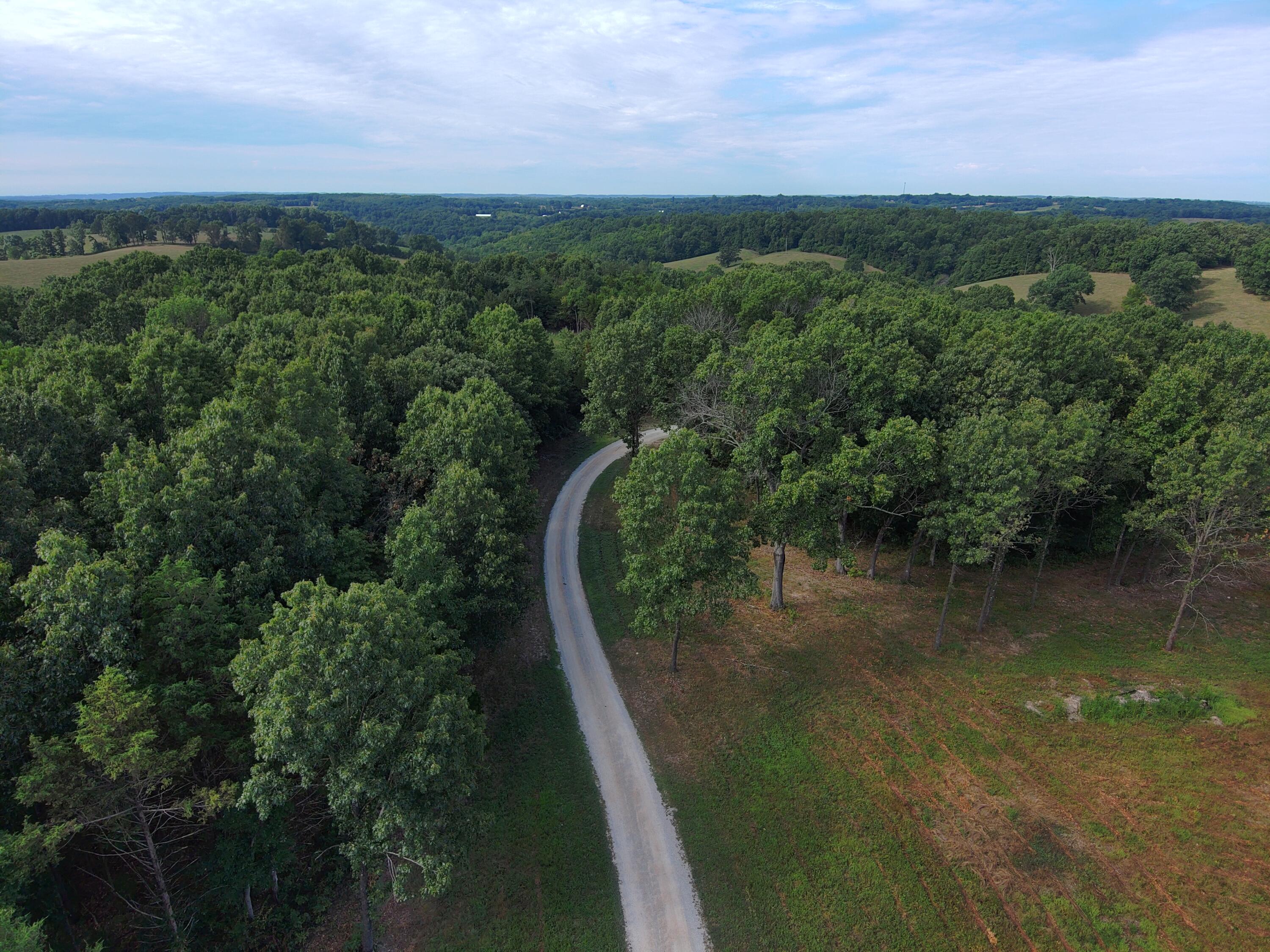 Photo 63 - Residential for sale – 650  Dogwood Springs   Galena, MO