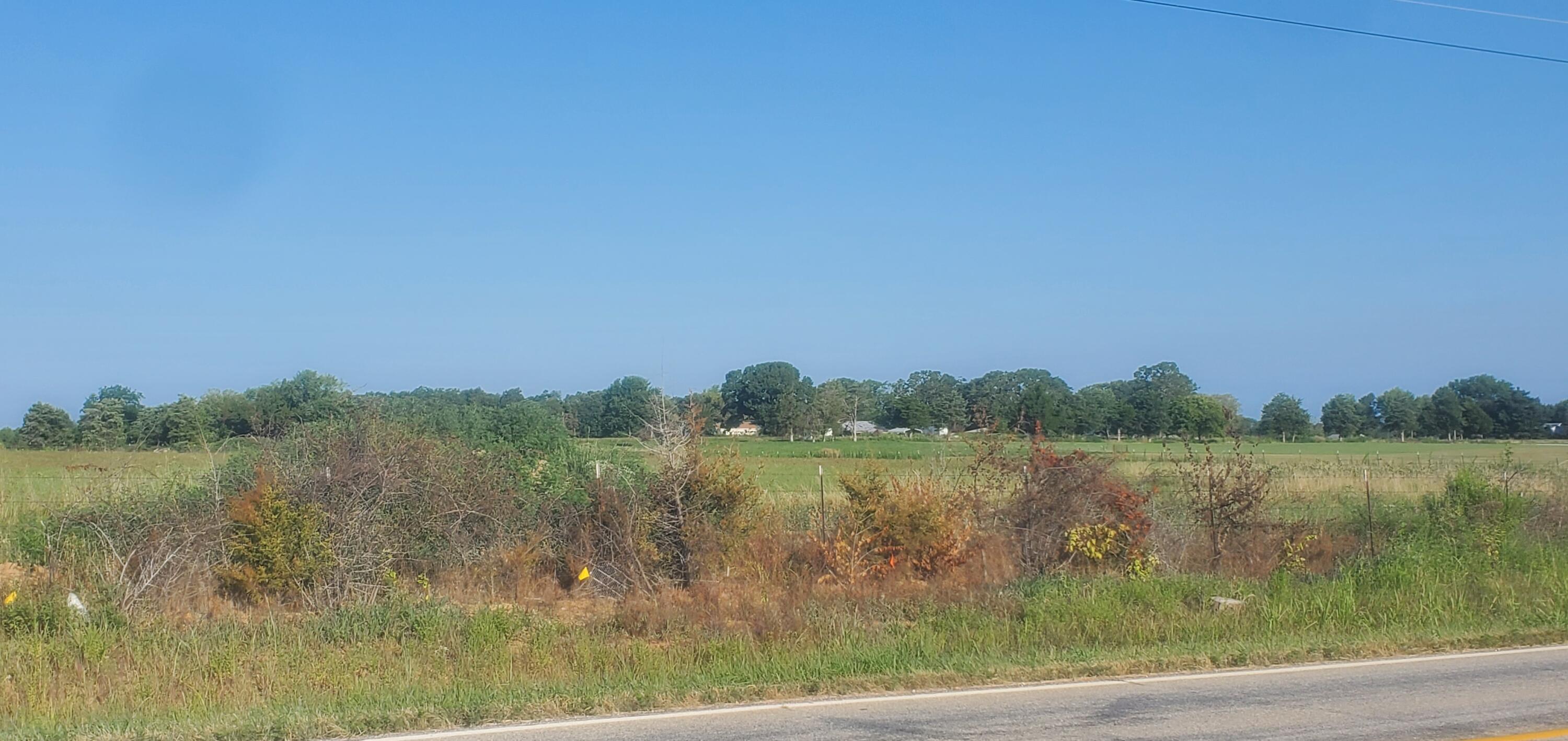Photo 10 - Commercial Sale for sale – 000 S State Highway 125   Rogersville, MO