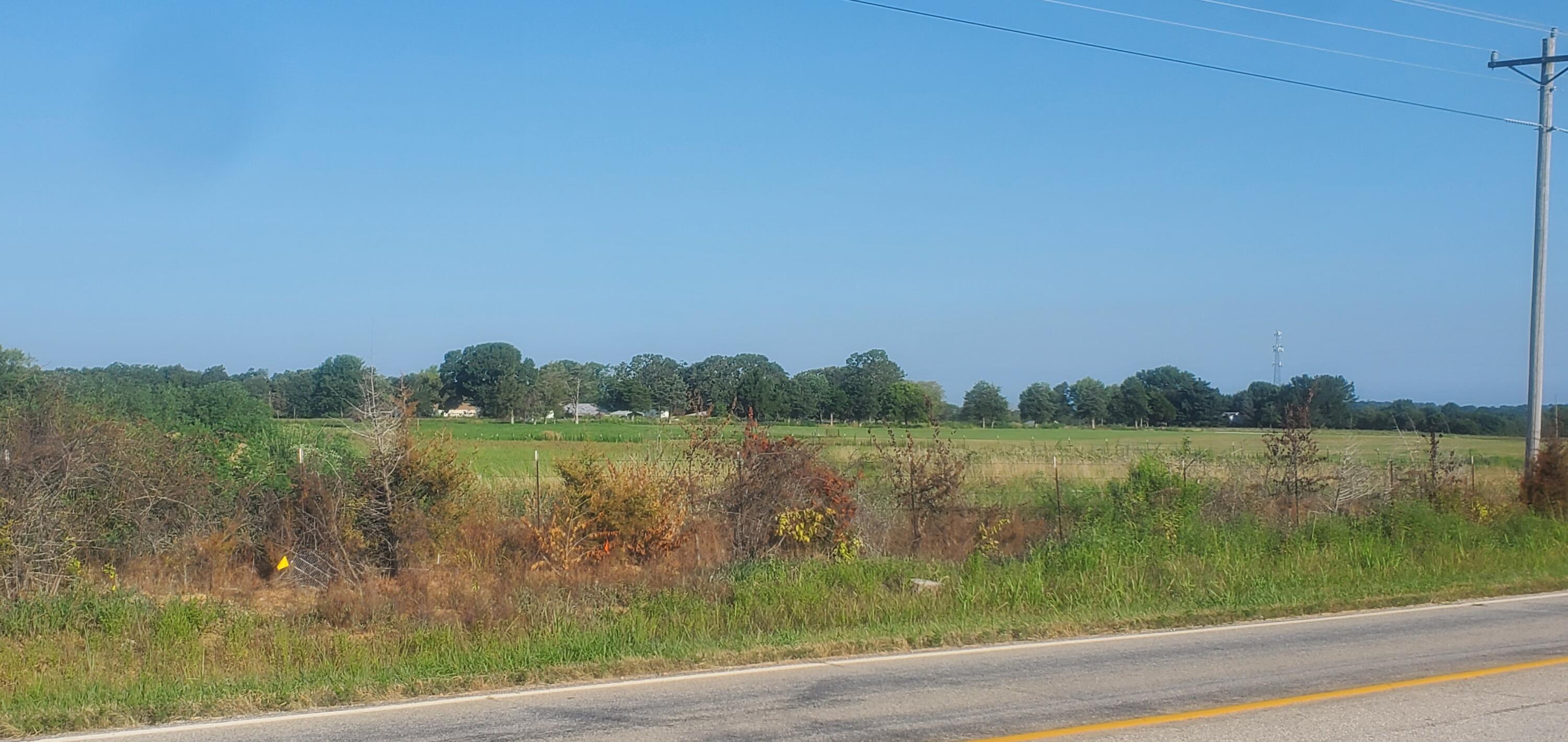 Photo 11 - Commercial Sale for sale – 000 S State Highway 125   Rogersville, MO