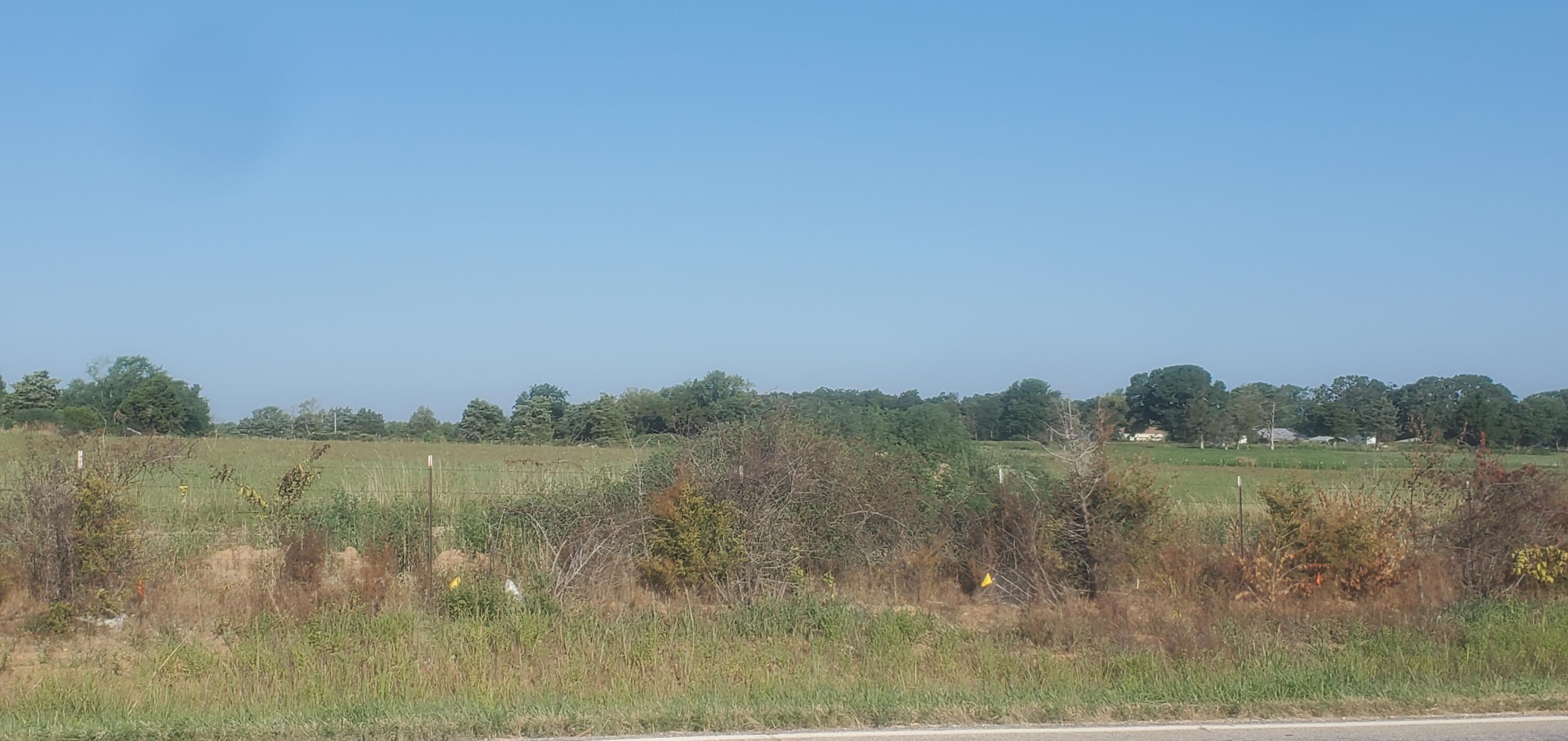 Photo 9 - Commercial Sale for sale – 000 S State Highway 125   Rogersville, MO