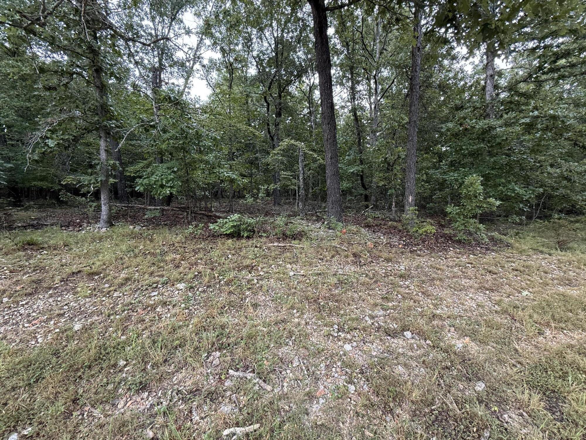 Photo 3 - Land for sale – 000  Private Road 2532   Mountain View, MO