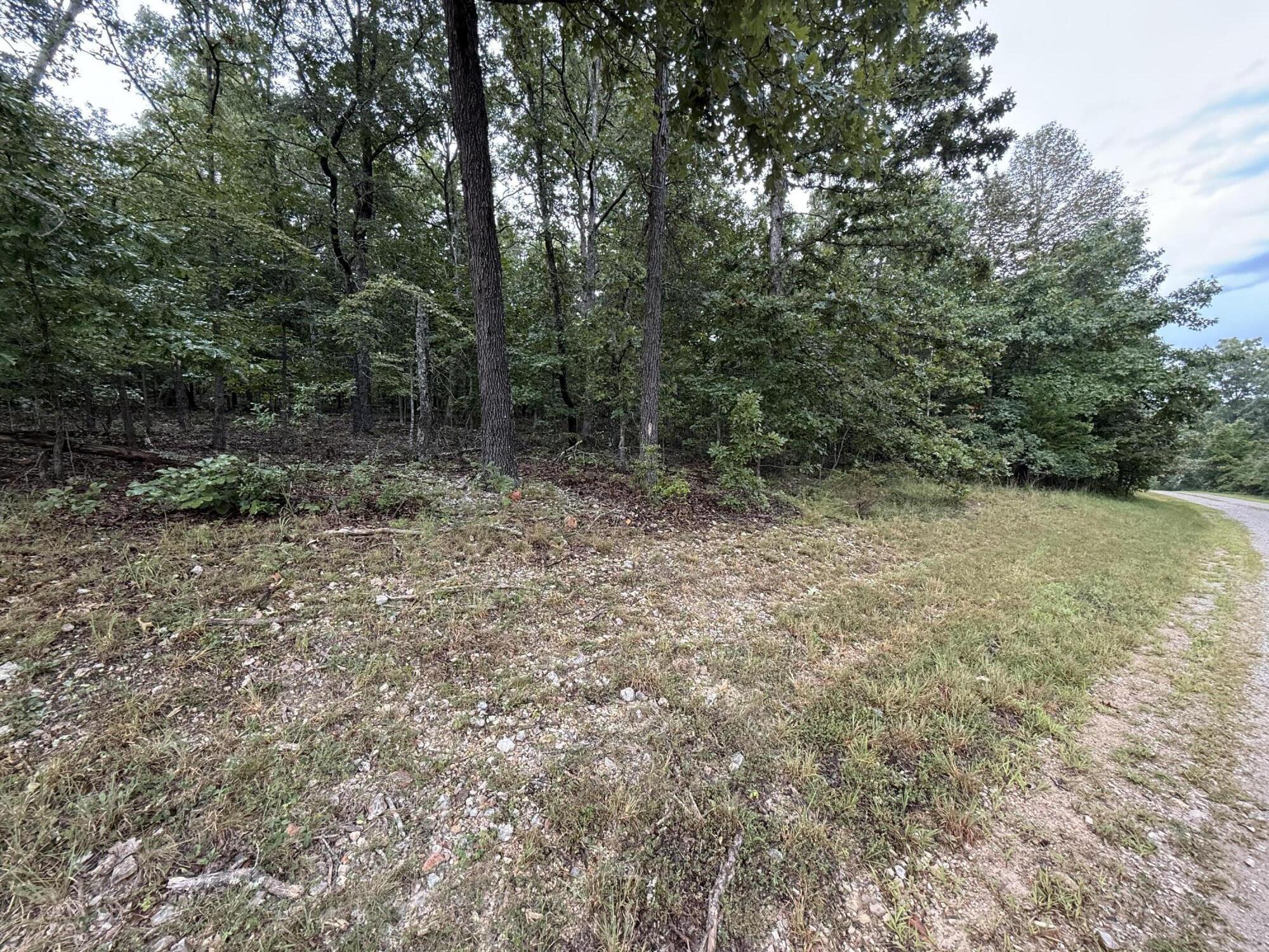 Photo 4 - Land for sale – 000  Private Road 2532   Mountain View, MO