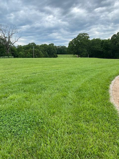 Photo 51 - Farm for sale – 27255  Farm Road 2090   Cape Fair, MO