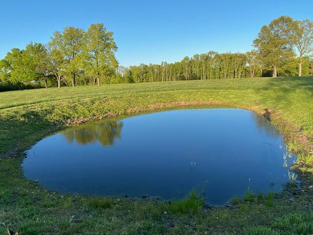 Photo 42 - Farm for sale – 27255  Farm Road 2090   Cape Fair, MO