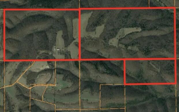 Photo 2 - Farm for sale – 27255  Farm Road 2090   Cape Fair, MO