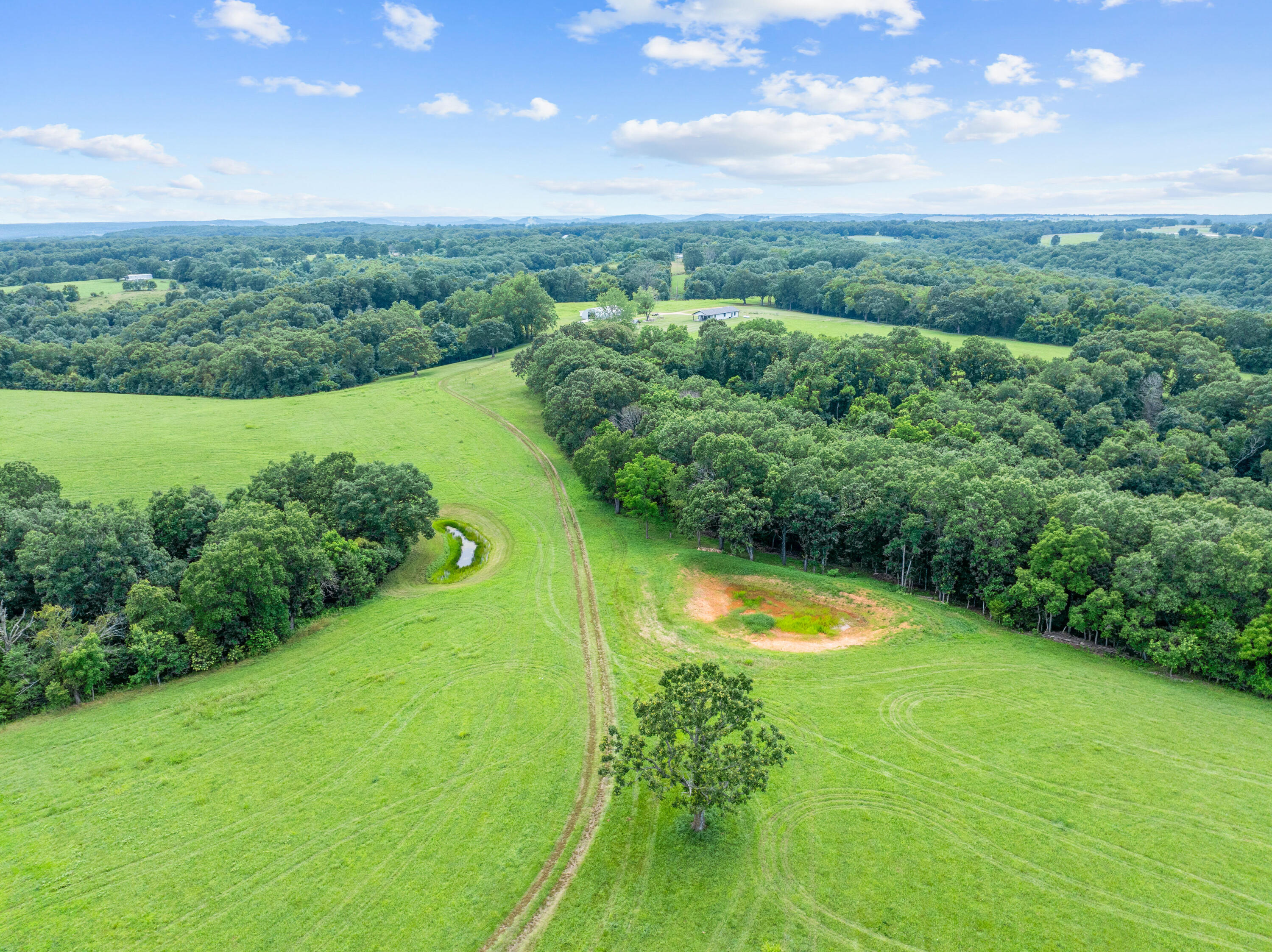 Photo 44 - Farm for sale – 27255  Farm Road 2090   Cape Fair, MO