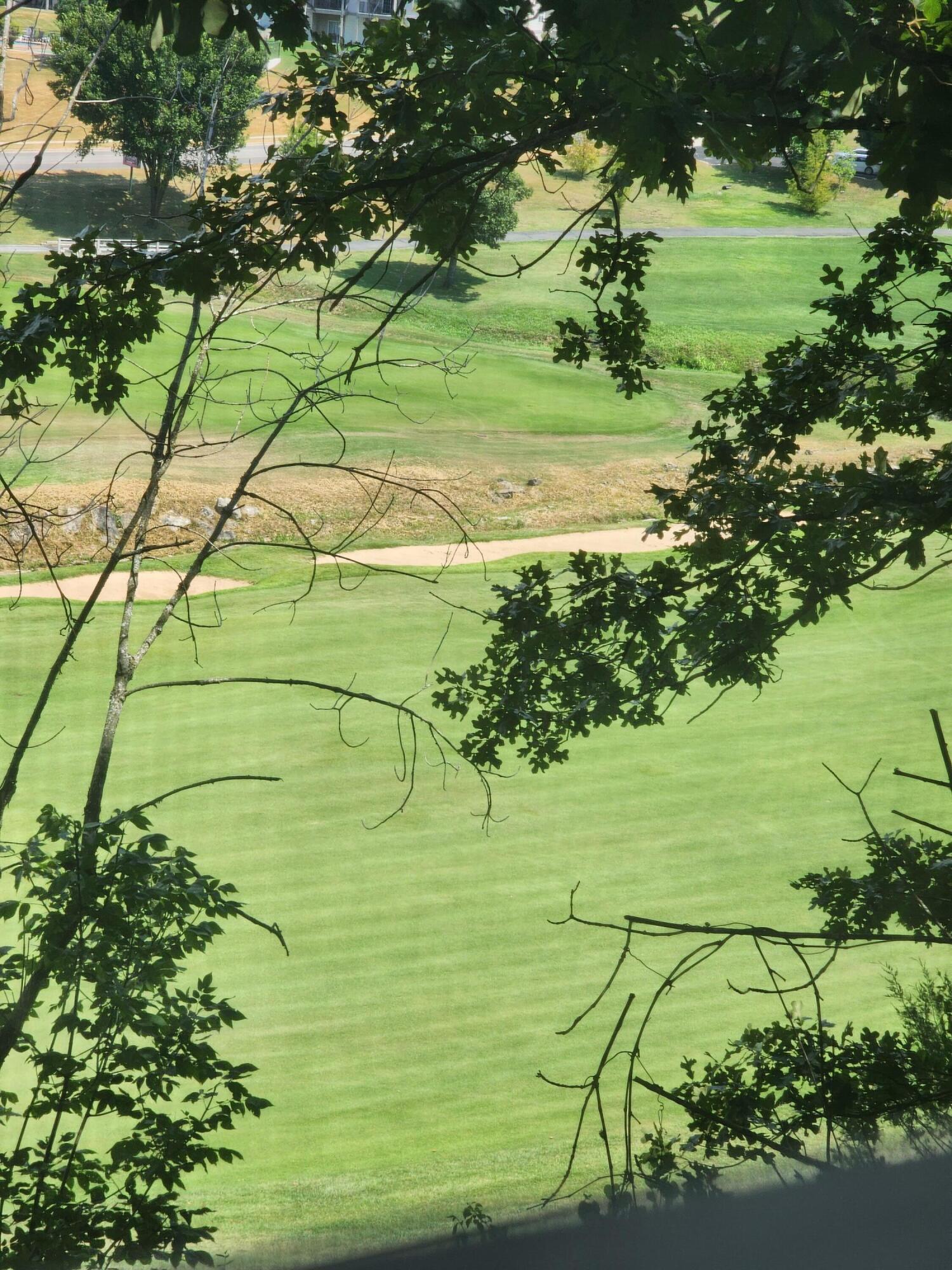 Photo 39 - Residential for sale – 200  Golf View Drive  Branson, MO