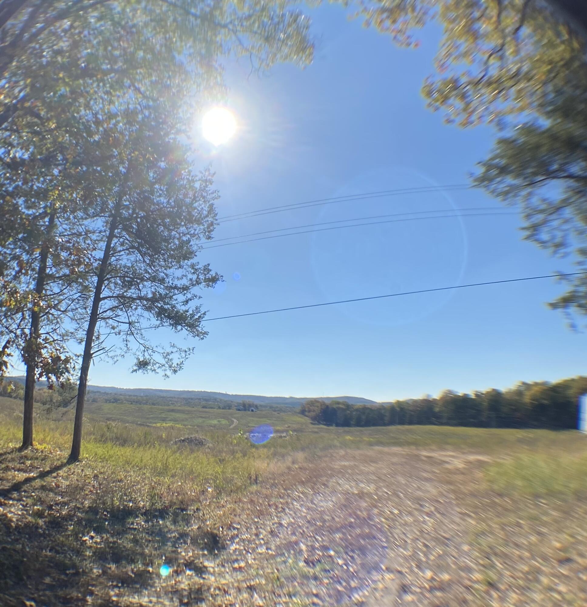 Photo 8 - Land for sale – 3855  Fall Creek Road   Branson, MO
