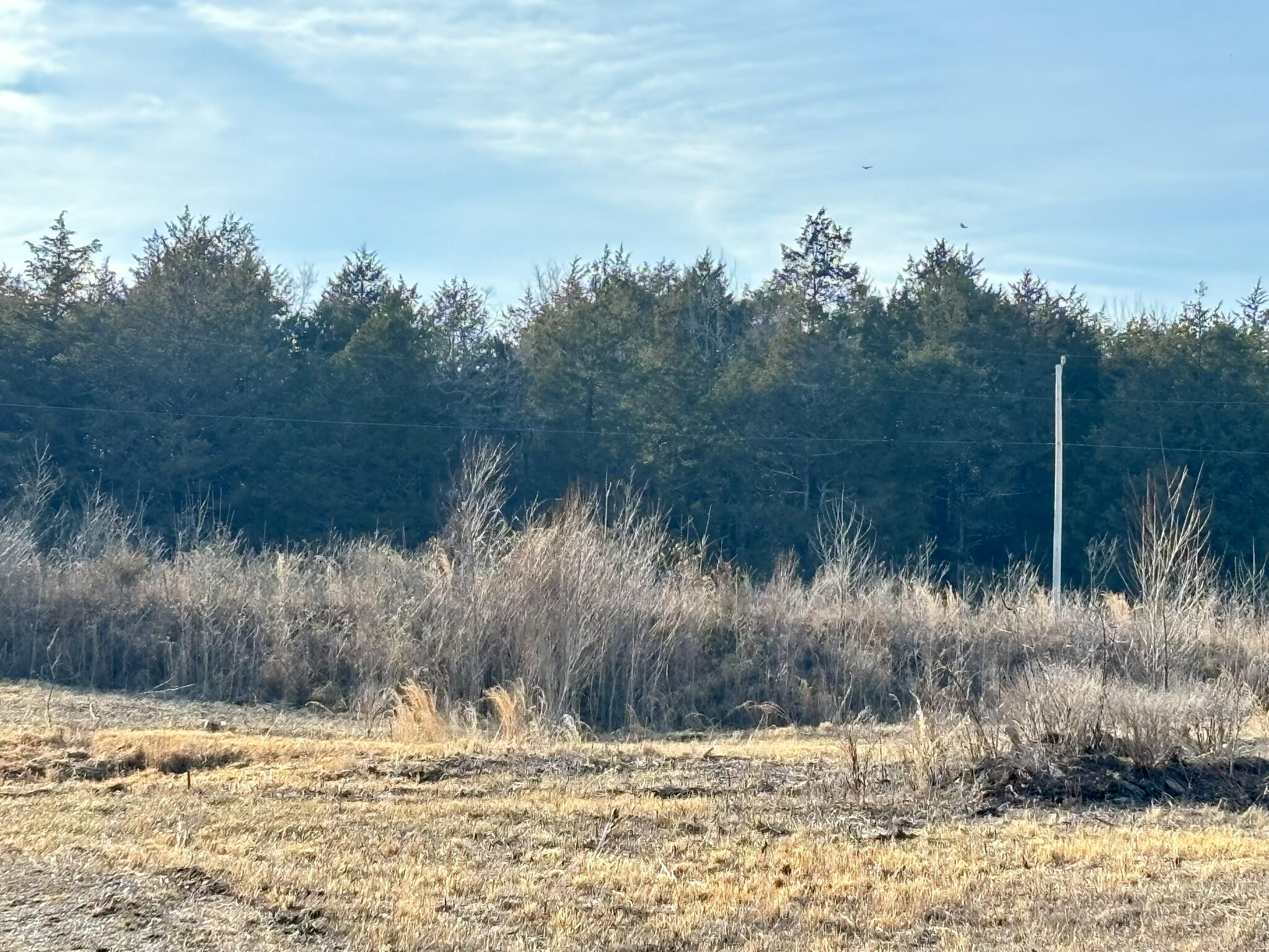 Photo 19 - Land for sale – 3855  Fall Creek Road   Branson, MO
