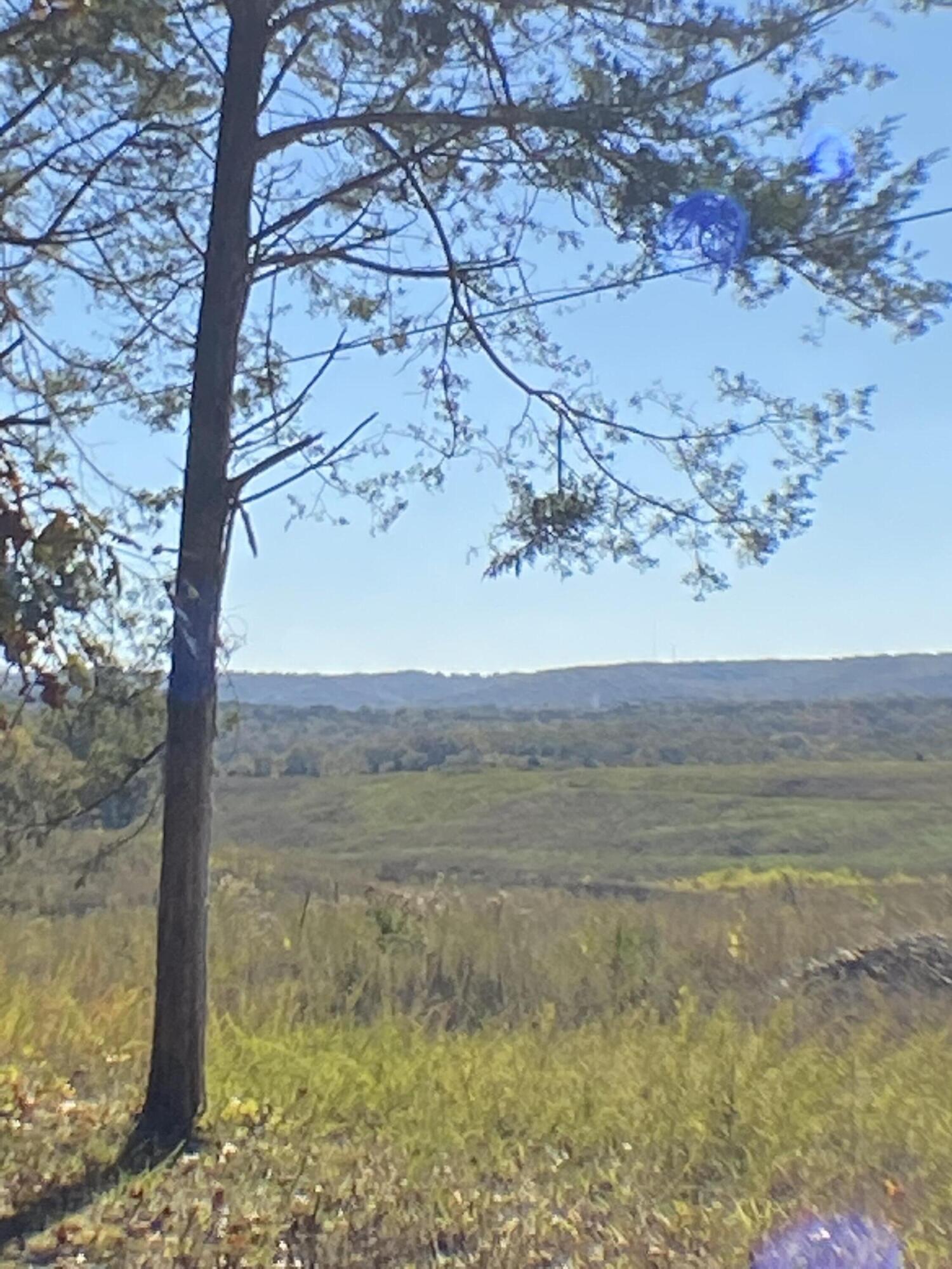 Photo 14 - Land for sale – 3855  Fall Creek Road   Branson, MO