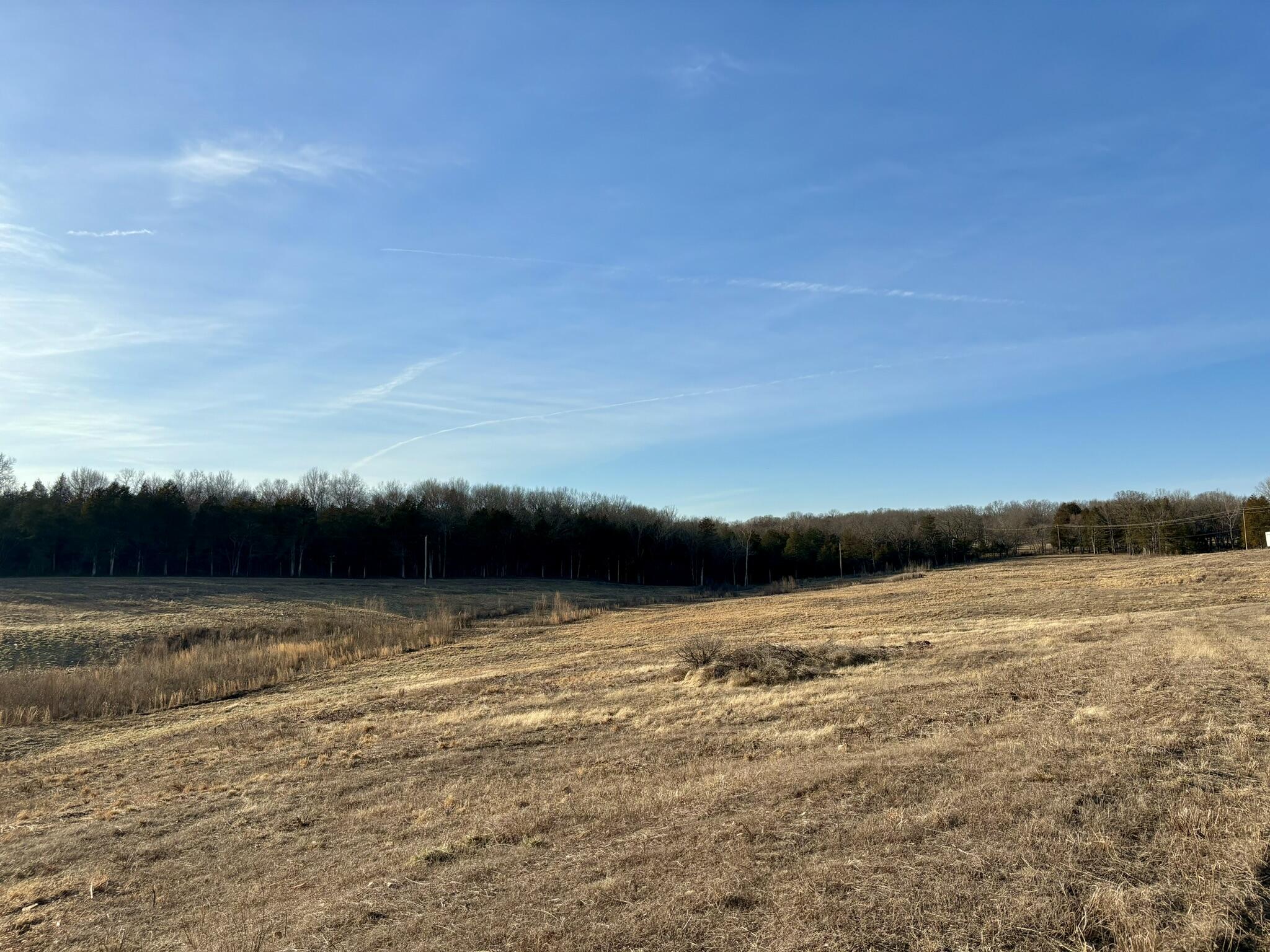 Photo 5 - Land for sale – 3855  Fall Creek Road   Branson, MO