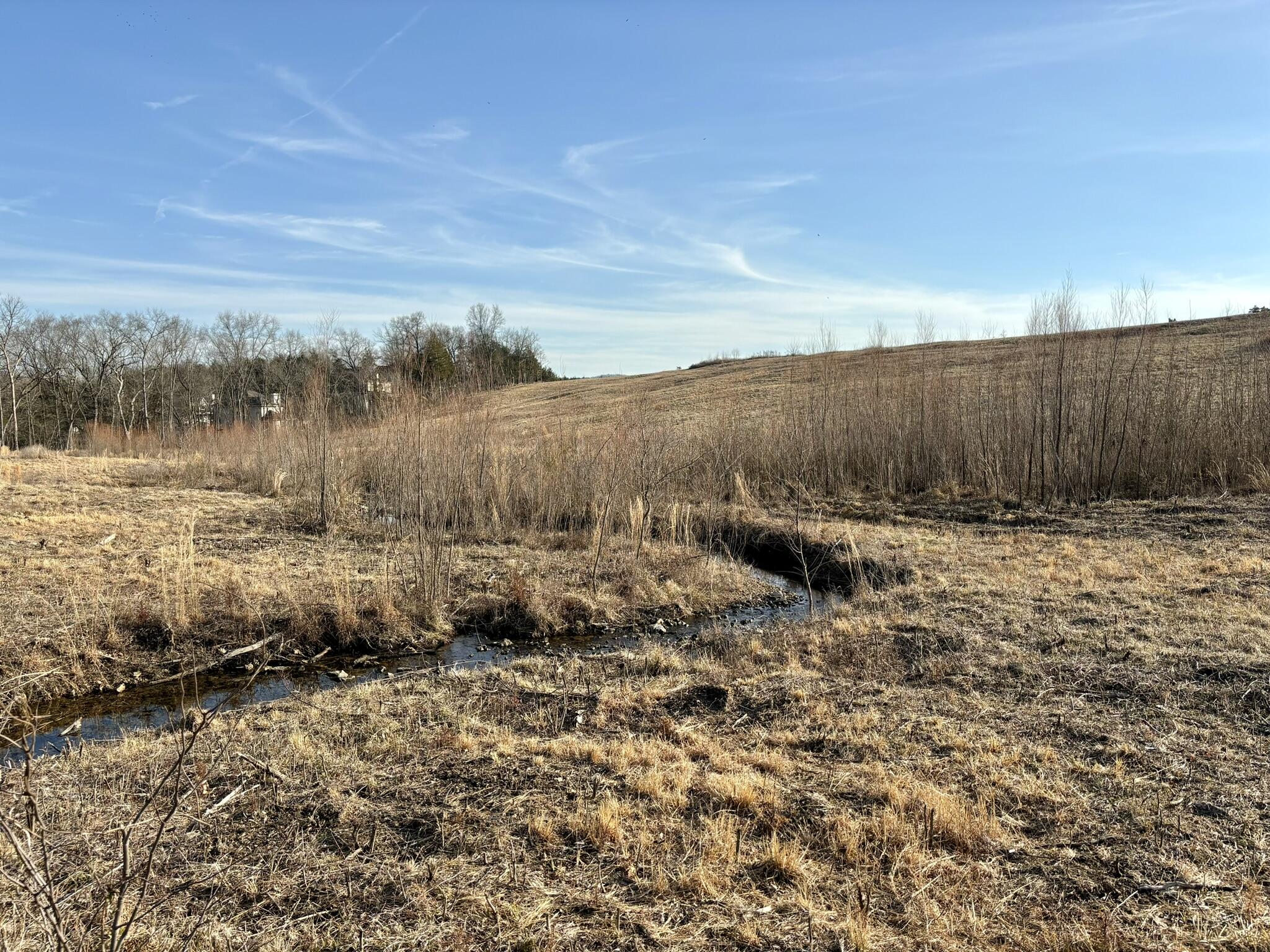 Photo 7 - Land for sale – 3855  Fall Creek Road   Branson, MO