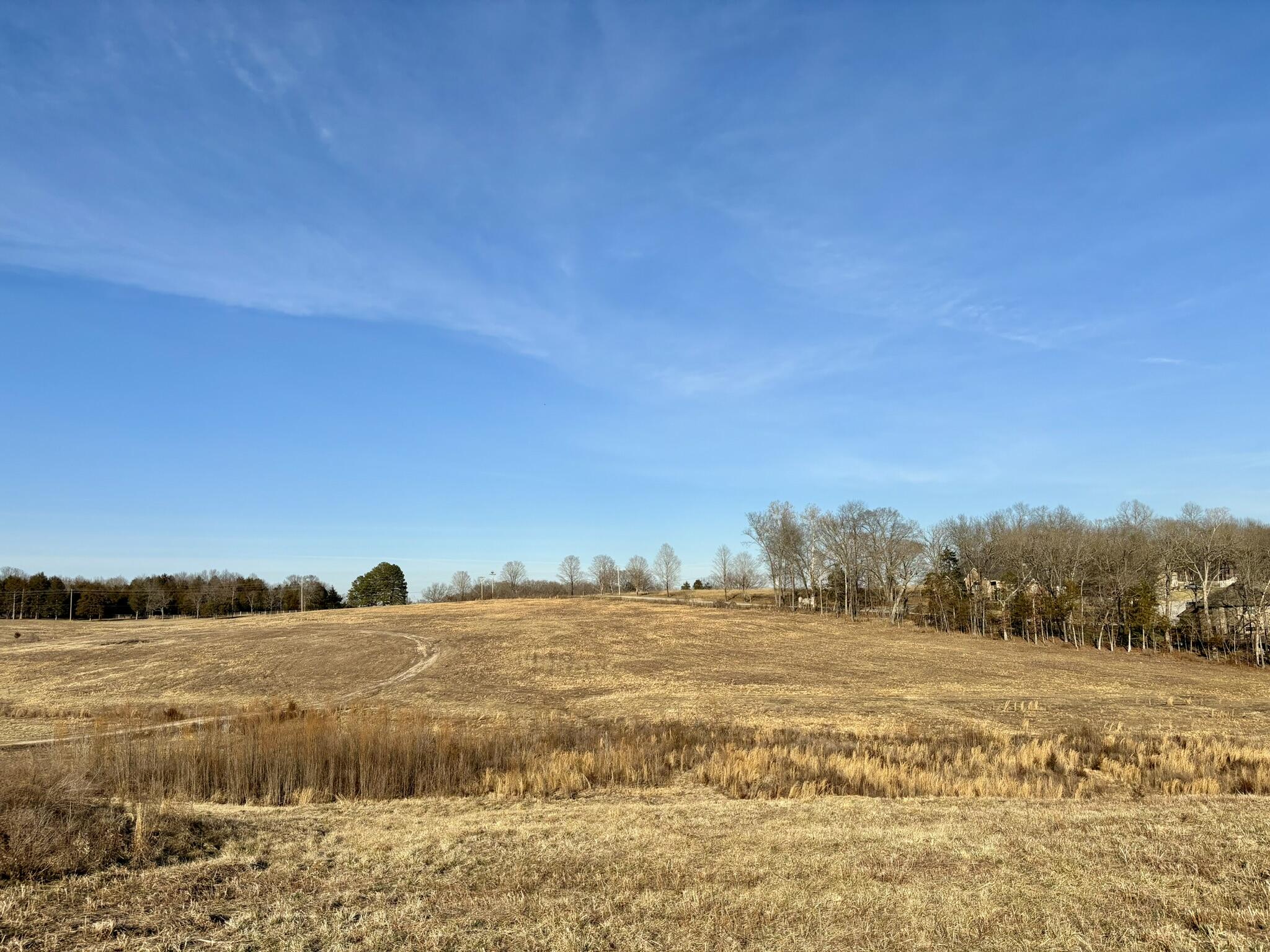 Photo 9 - Land for sale – 3855  Fall Creek Road   Branson, MO
