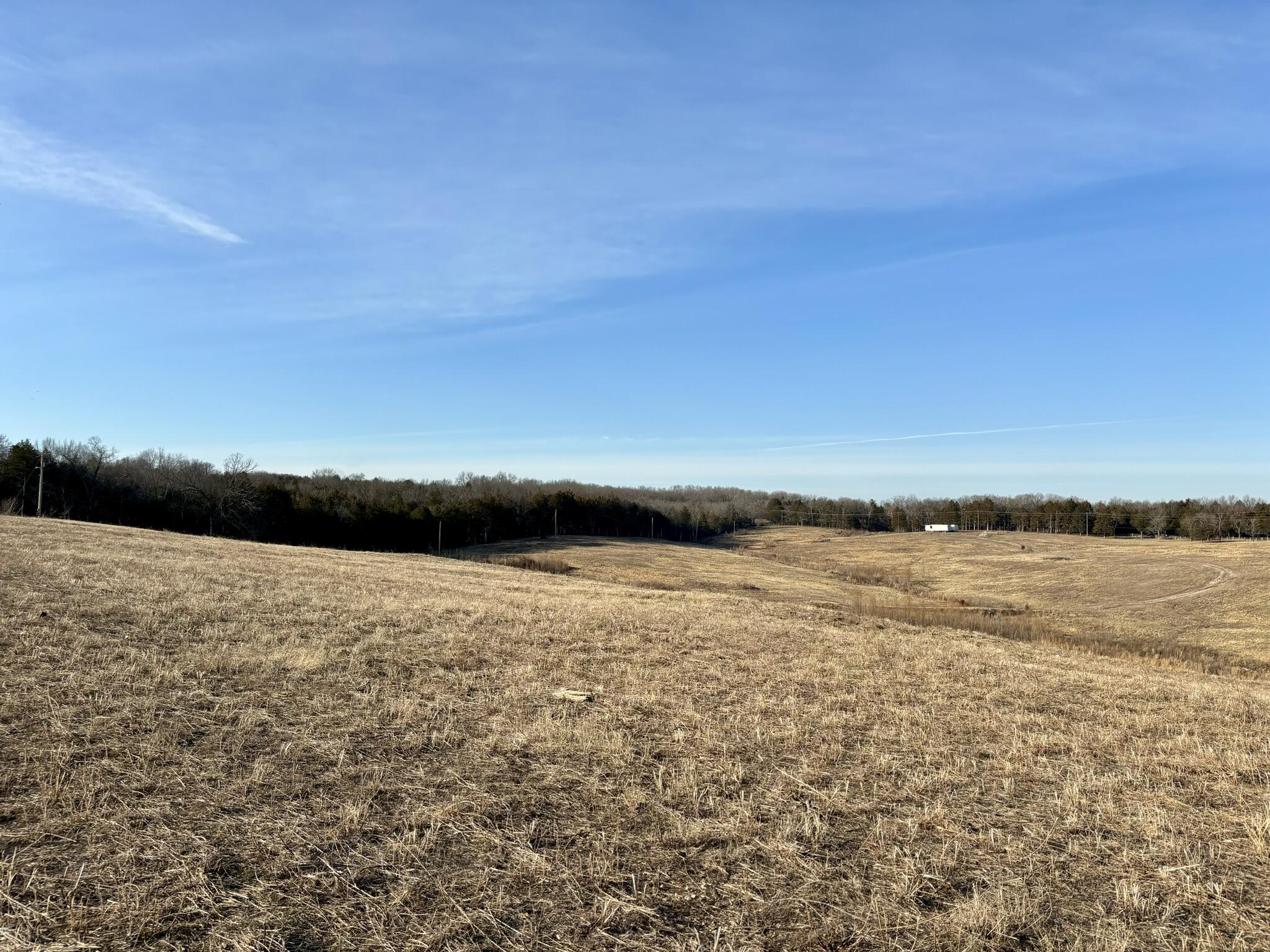 Photo 24 - Land for sale – 3855  Fall Creek Road   Branson, MO