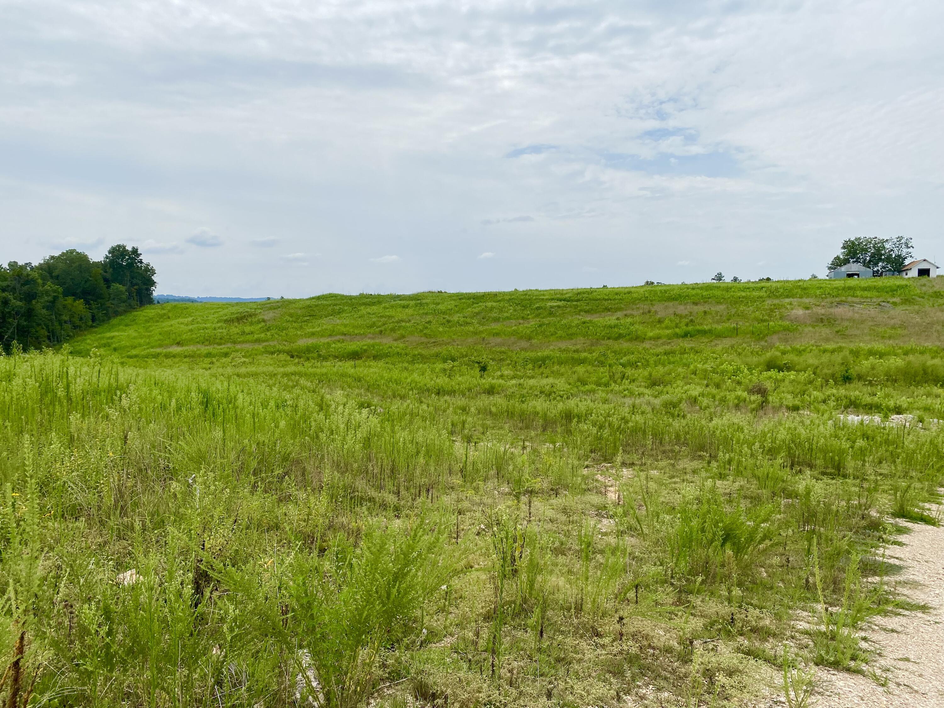 Photo 10 - Land for sale – 3855  Fall Creek Road   Branson, MO