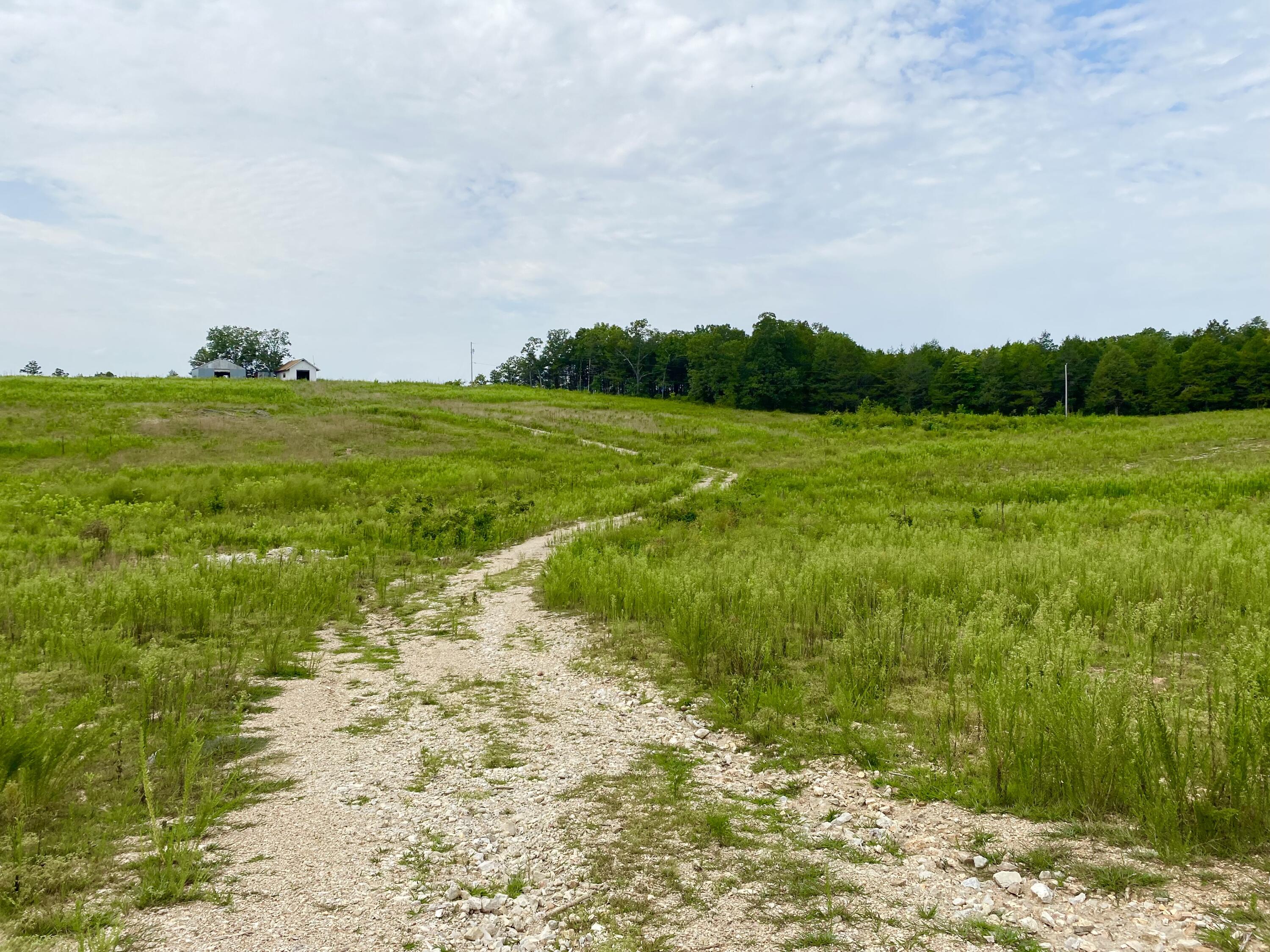 Photo 12 - Land for sale – 3855  Fall Creek Road   Branson, MO