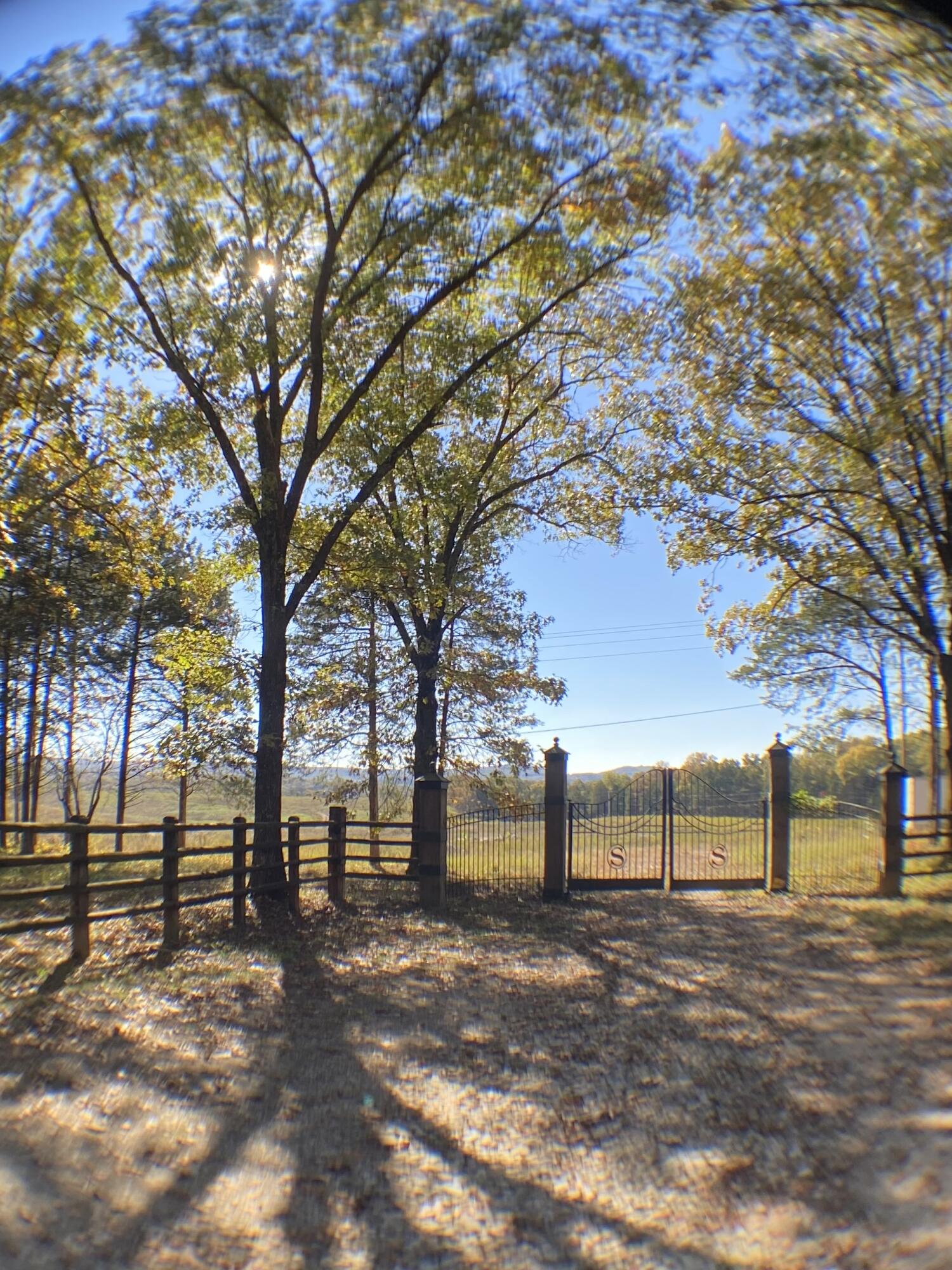 Photo 13 - Land for sale – 3855  Fall Creek Road   Branson, MO