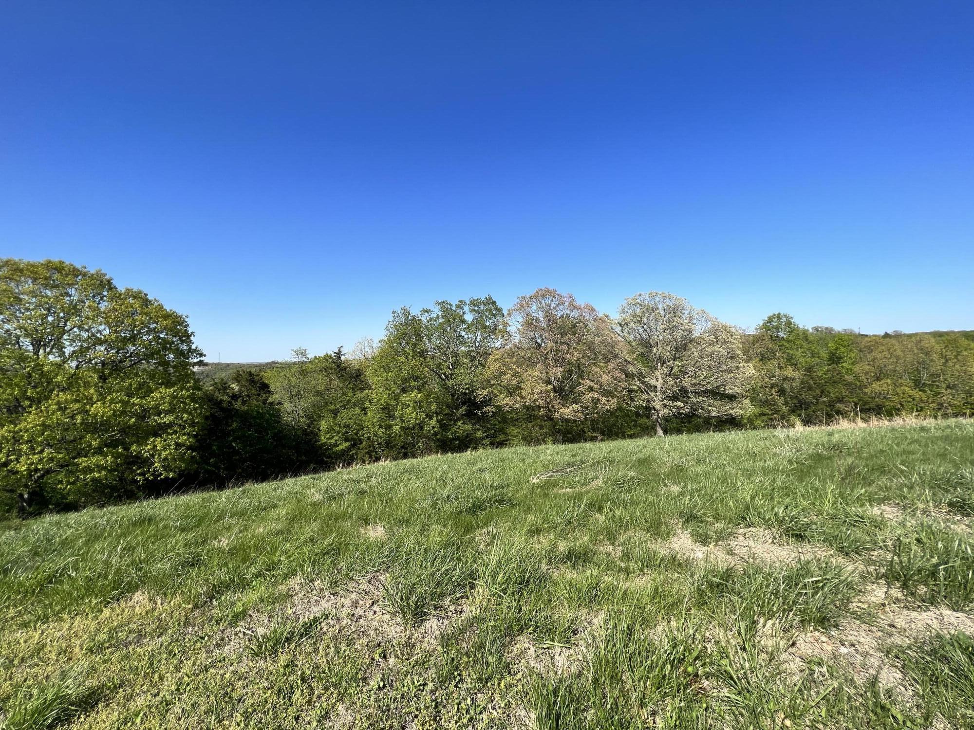 Photo 2 - Land for sale – Lot 58  Eagle Crest   Hollister, MO