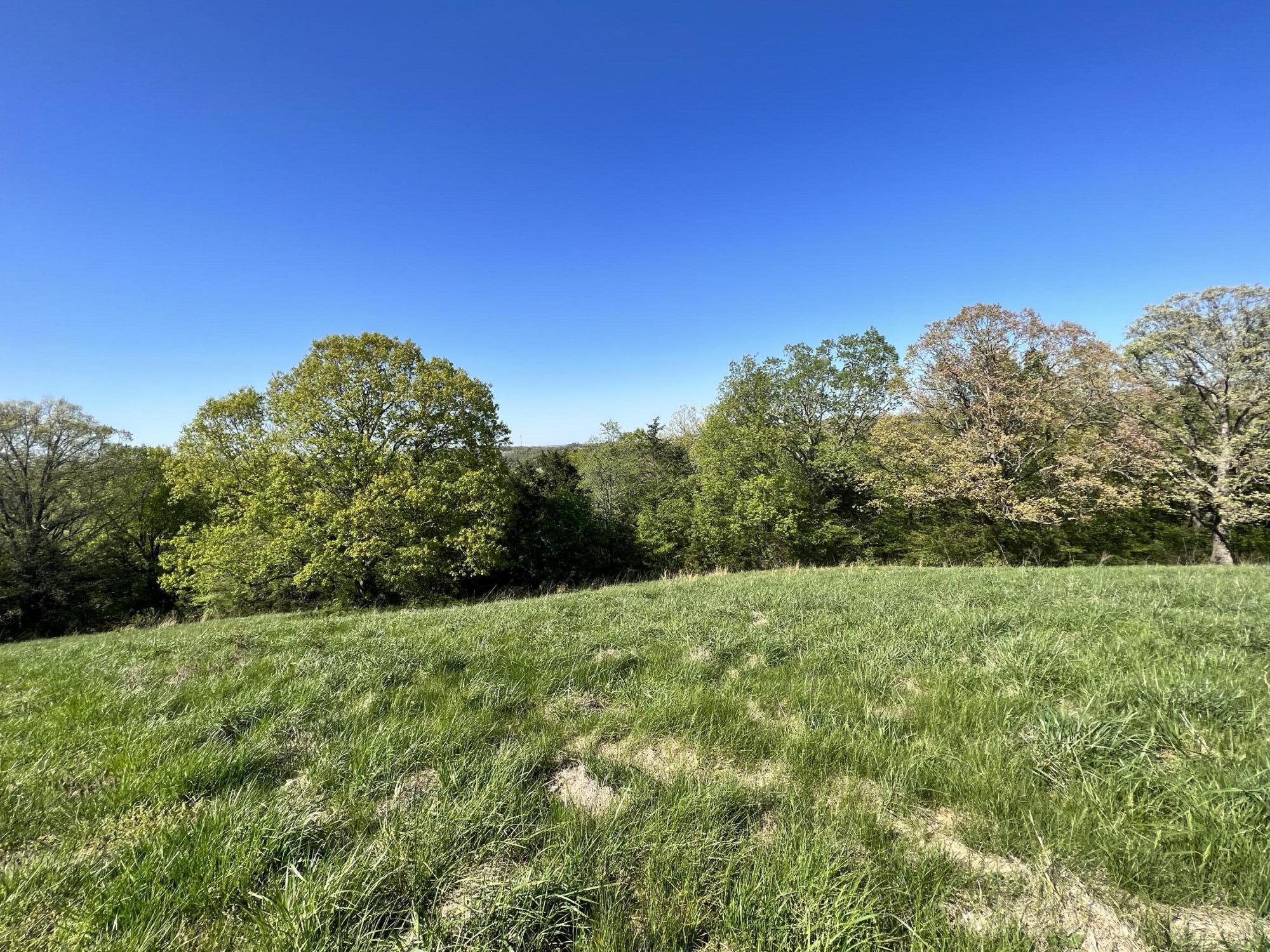 Photo 3 - Land for sale – Lot 58  Eagle Crest   Hollister, MO