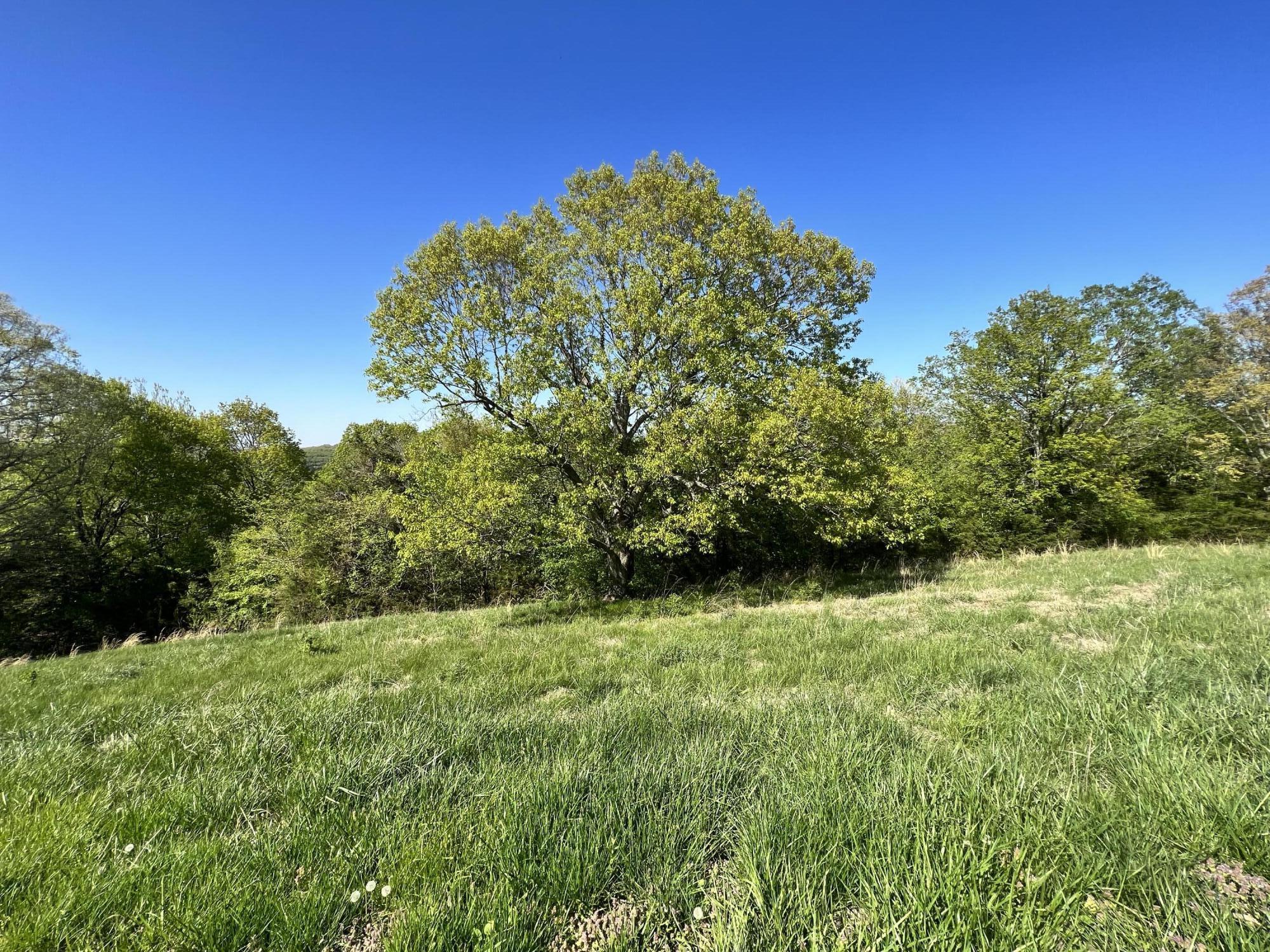 Land for sale – Lot 58 Eagle Crest Hollister, MO
