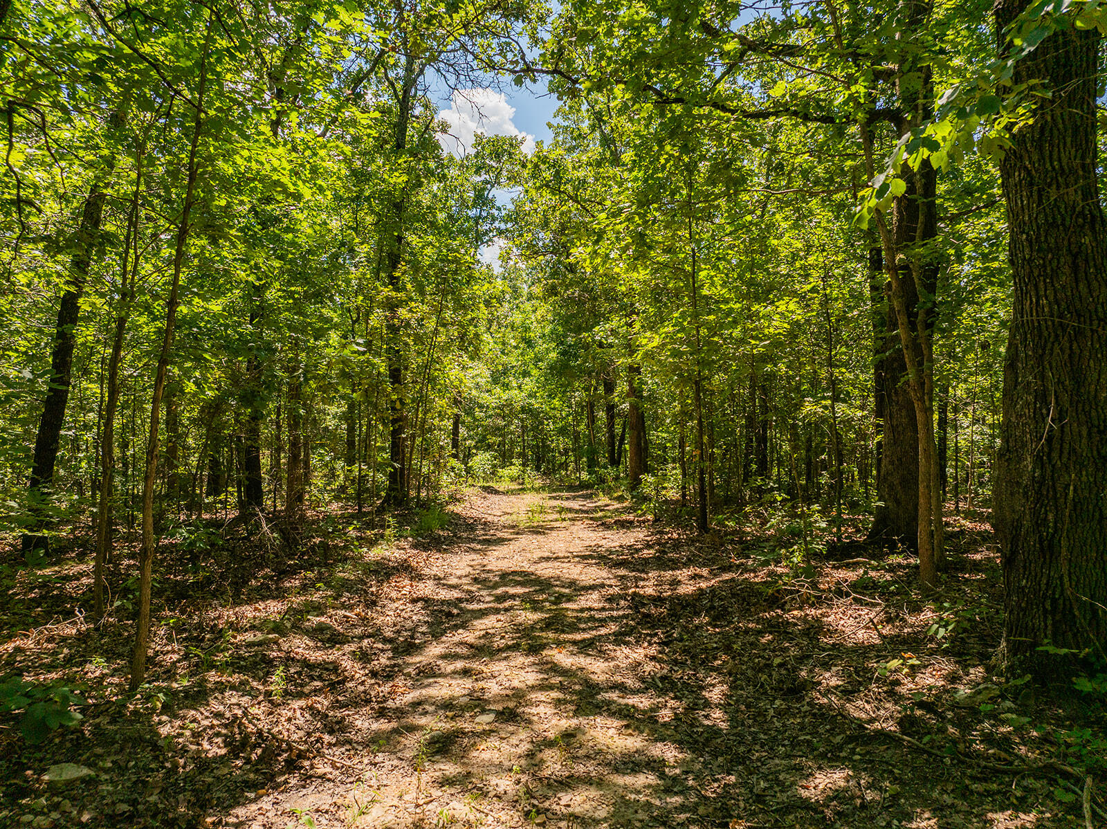 Photo 25 - Land for sale – 4991  Hwy Hh   Hartville, MO