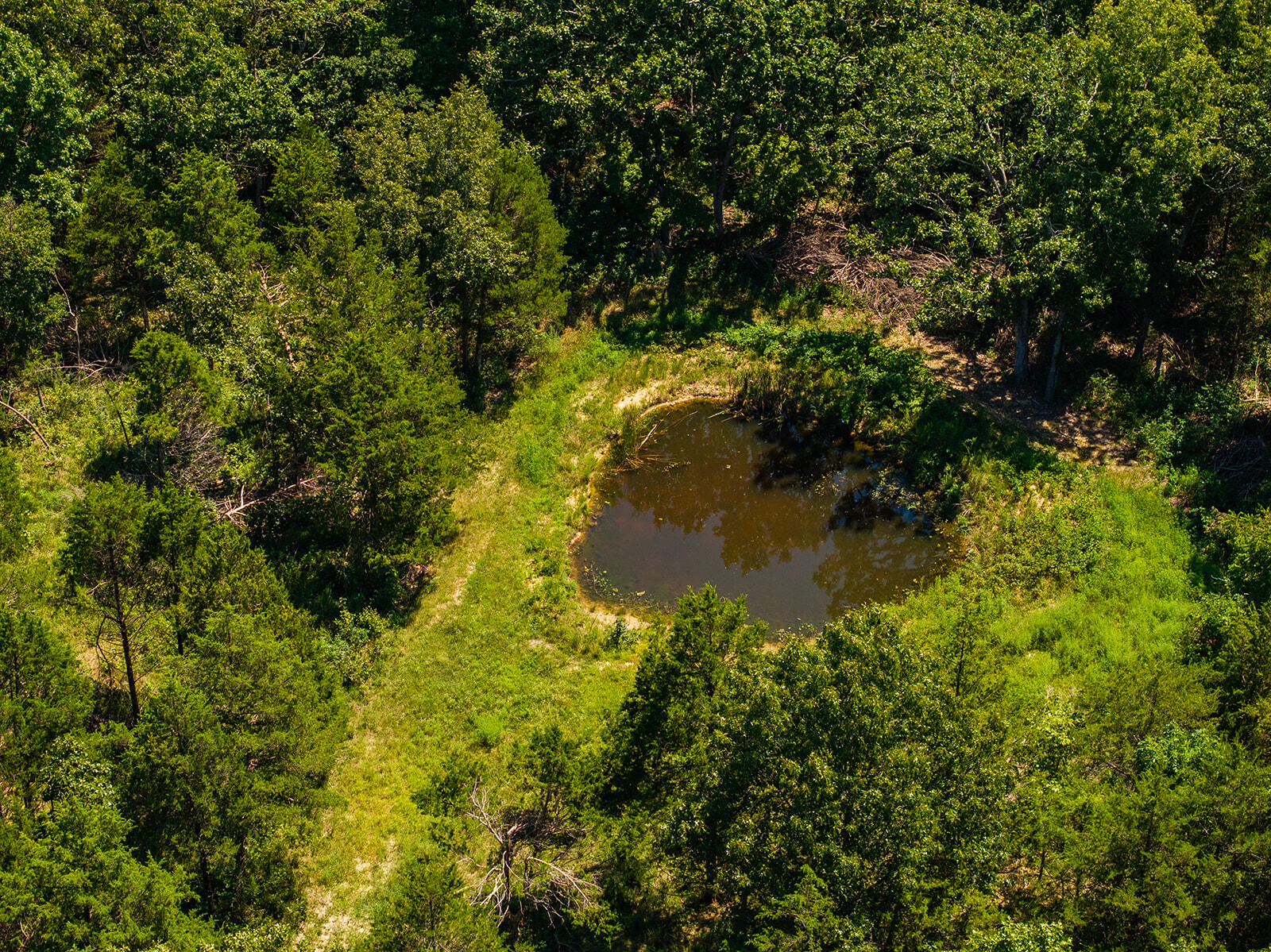 Photo 21 - Land for sale – 4991  Hwy Hh   Hartville, MO