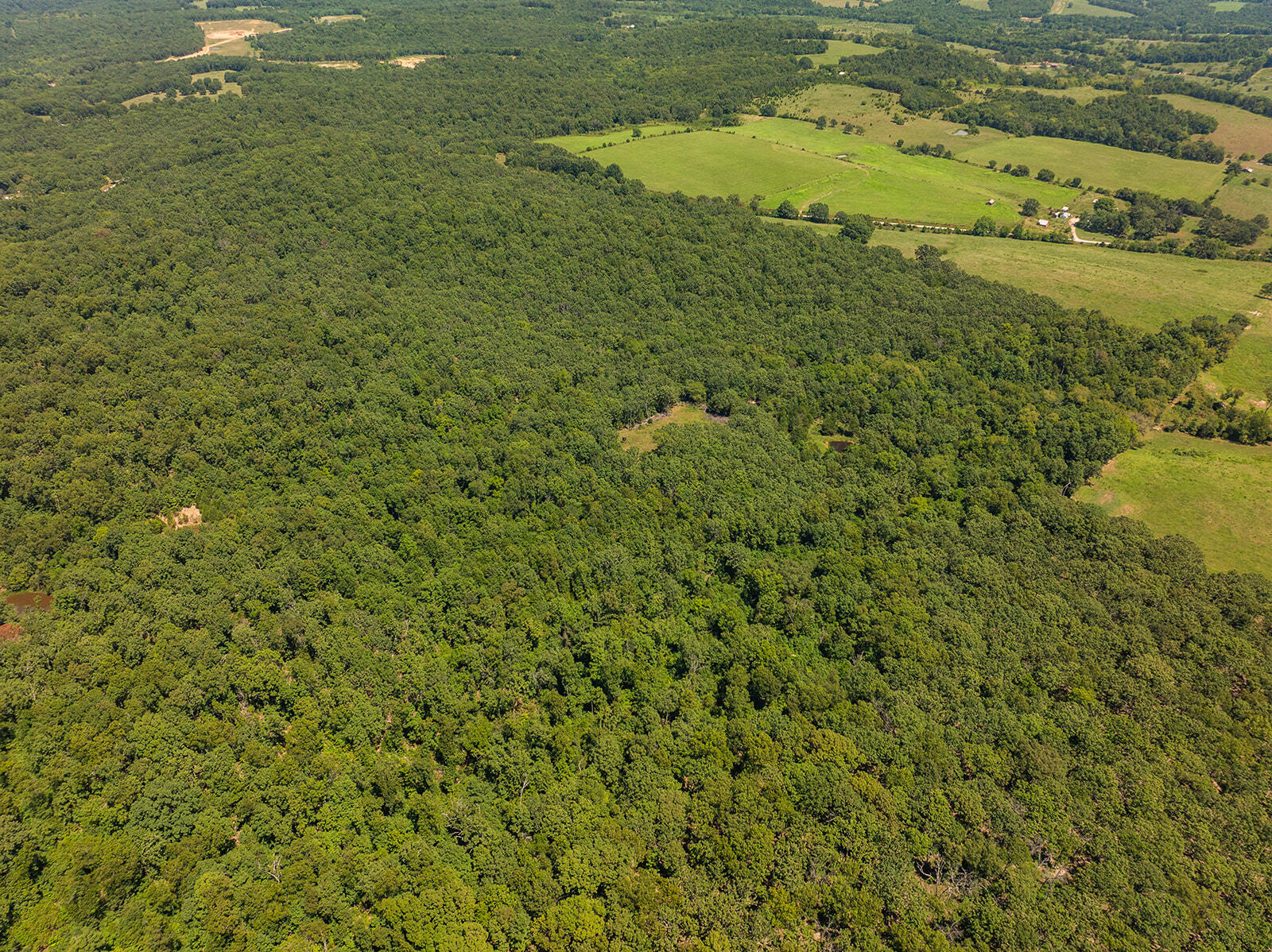 Photo 17 - Land for sale – 4991  Hwy Hh   Hartville, MO