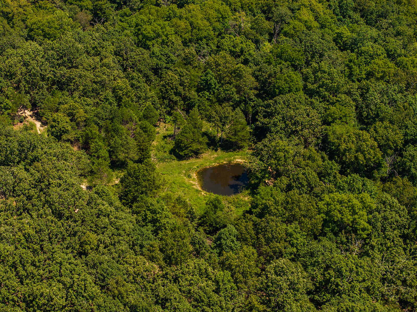 Photo 18 - Land for sale – 4991  Hwy Hh   Hartville, MO