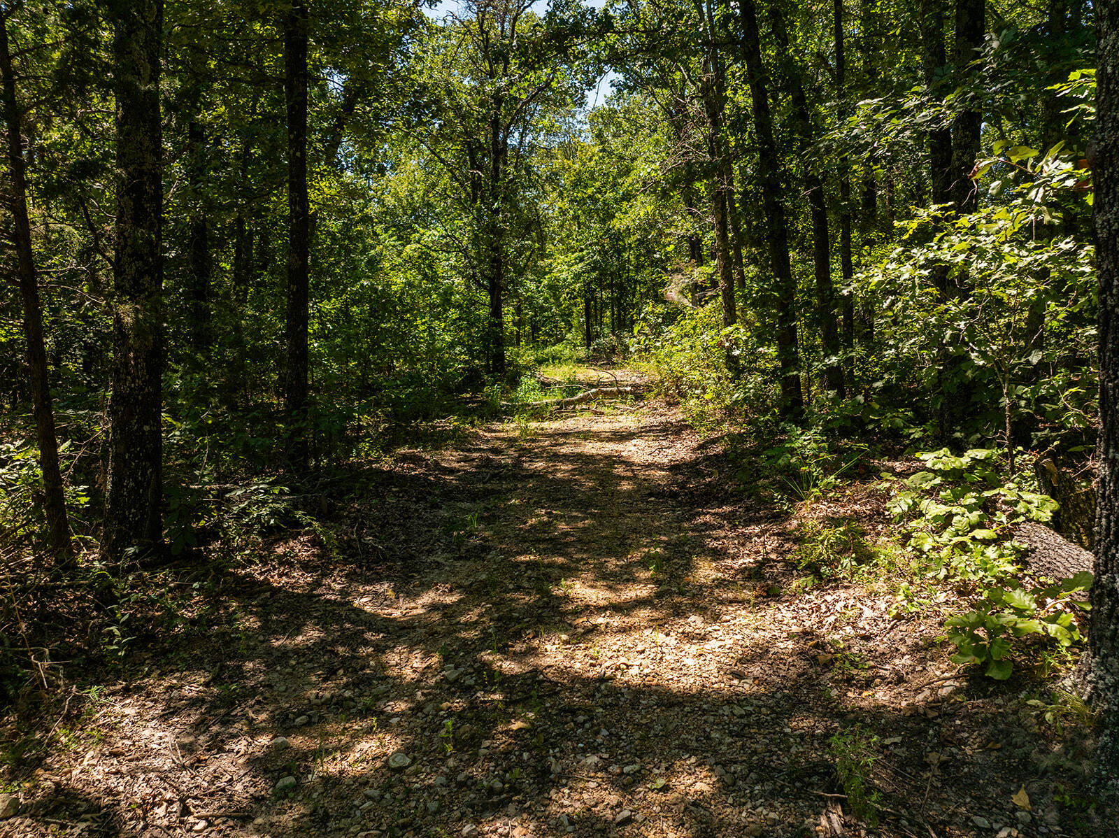 Photo 23 - Land for sale – 4991  Hwy Hh   Hartville, MO