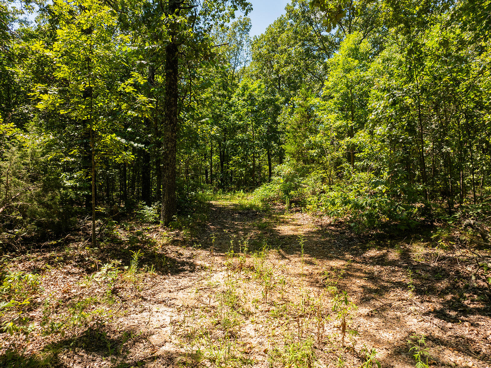 Photo 24 - Land for sale – 4991  Hwy Hh   Hartville, MO