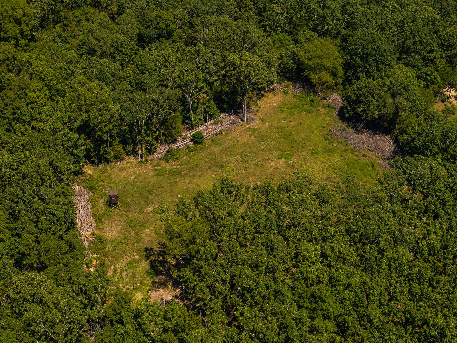Photo 19 - Land for sale – 4991  Hwy Hh   Hartville, MO