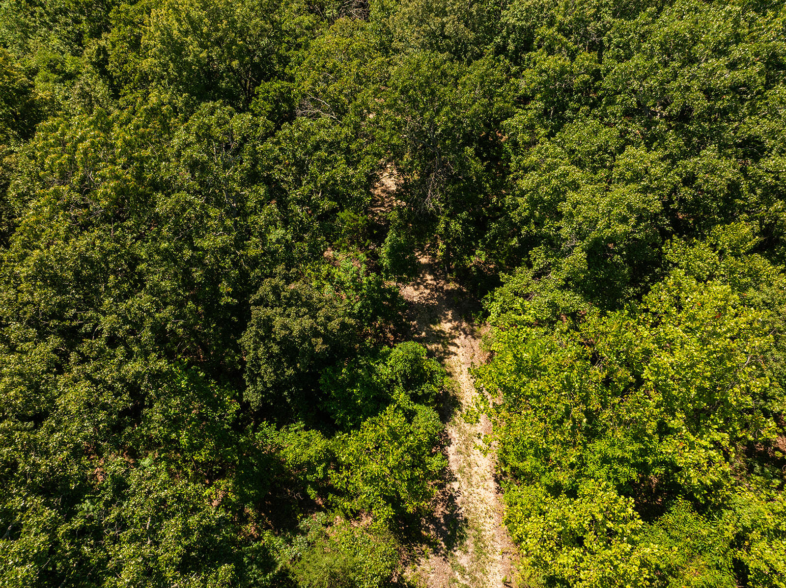 Photo 14 - Land for sale – 4991  Hwy Hh   Hartville, MO