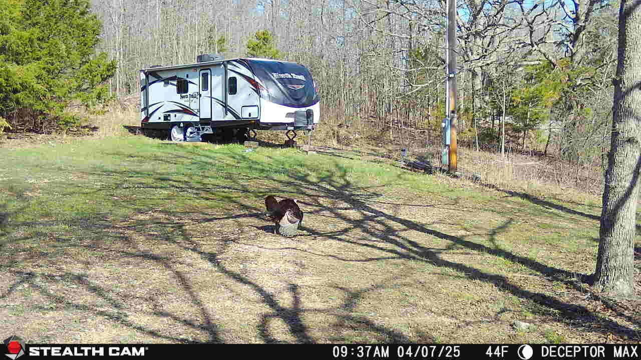 Photo 3 - Land for sale – 4991  Hwy Hh   Hartville, MO