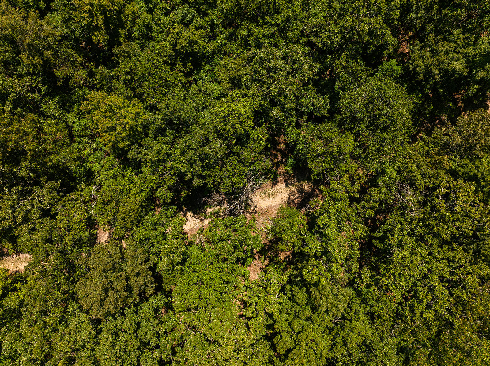 Photo 13 - Land for sale – 4991  Hwy Hh   Hartville, MO
