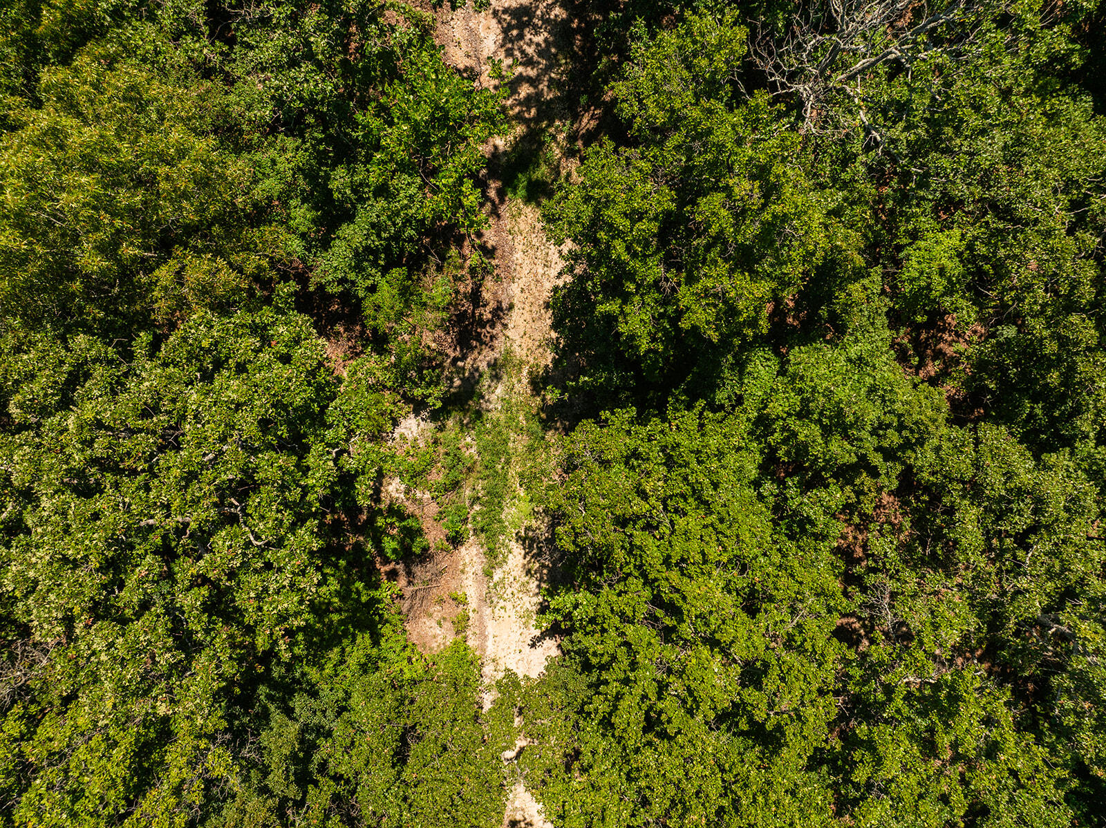 Photo 15 - Land for sale – 4991  Hwy Hh   Hartville, MO