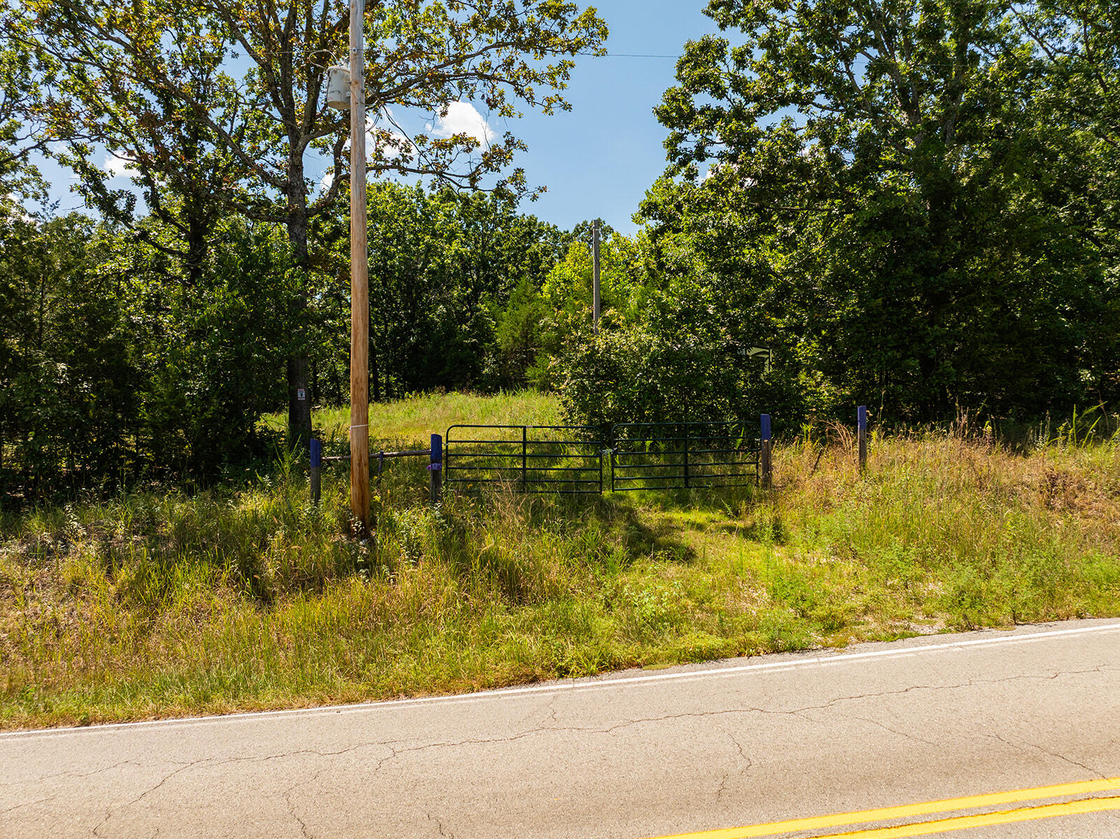 Photo 22 - Land for sale – 4991  Hwy Hh   Hartville, MO
