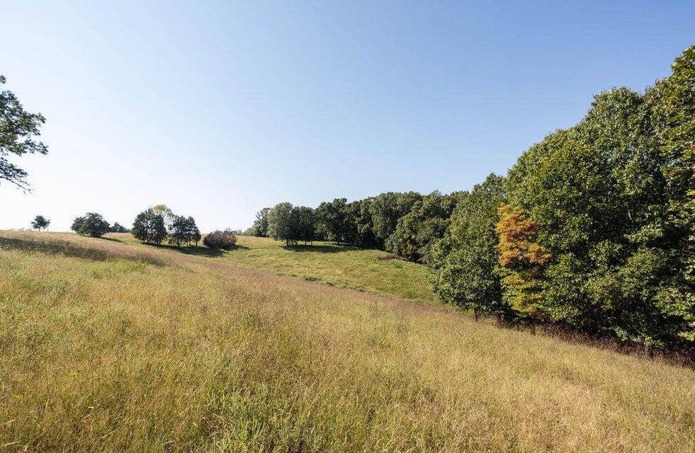Photo 4 - Land for sale – 16478  Farm Road 1170   Cassville, MO