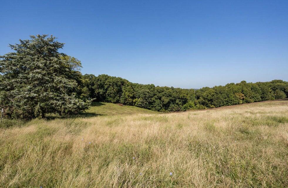 Photo 2 - Land for sale – 16478  Farm Road 1170   Cassville, MO
