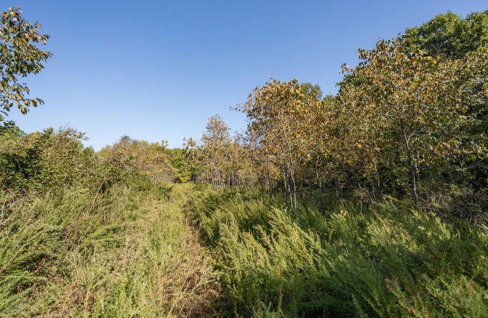 Photo 10 - Land for sale – 16478  Farm Road 1170   Cassville, MO