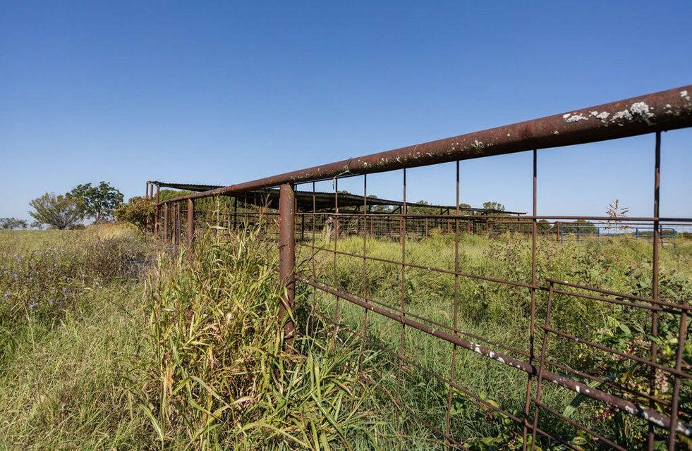 Photo 7 - Land for sale – 16478  Farm Road 1170   Cassville, MO