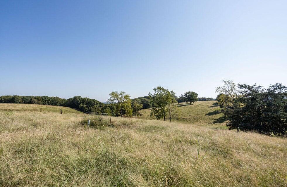Photo 3 - Land for sale – 16478  Farm Road 1170   Cassville, MO