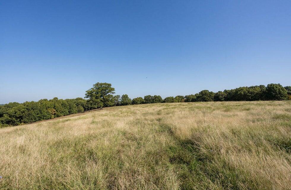 Photo 6 - Land for sale – 16478  Farm Road 1170   Cassville, MO