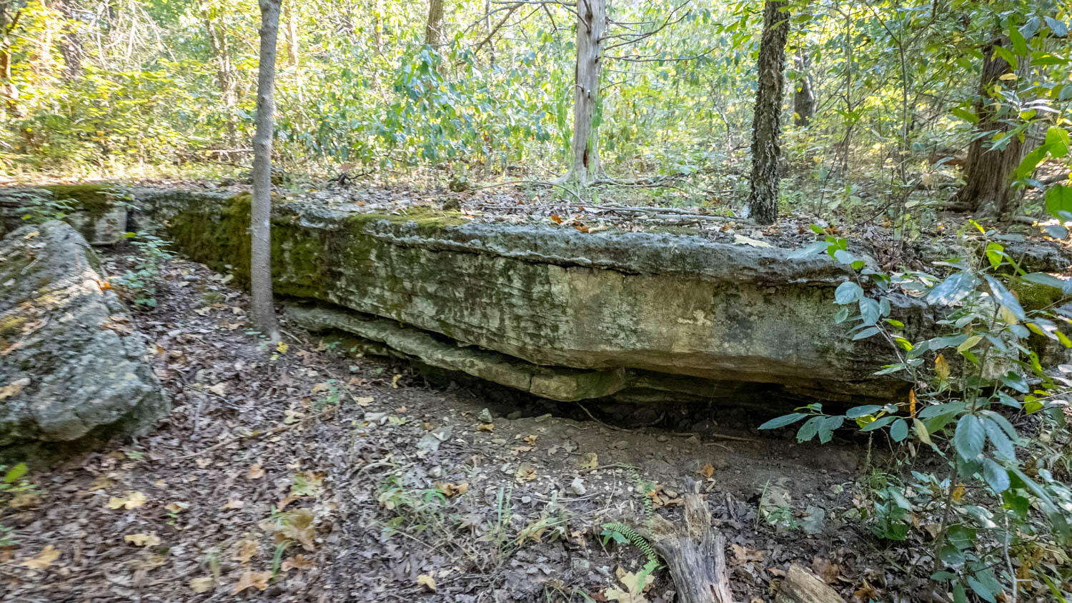 Photo 4 - Land for sale – 000  Calhan Circle   Clarkridge, AR